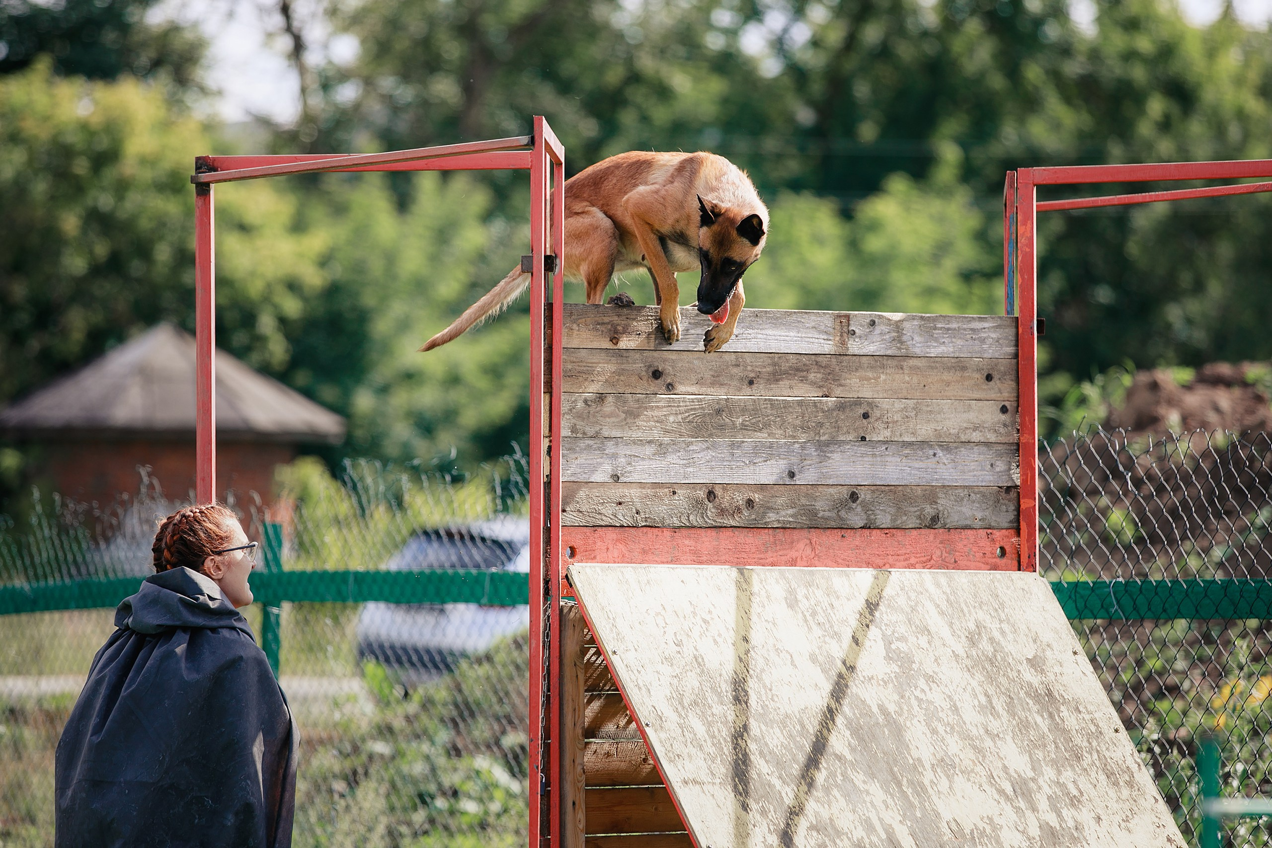Мондьоринг М1, М2, М3, Вологда. Фотограф-анималист Mary Mart — Москва, Питер