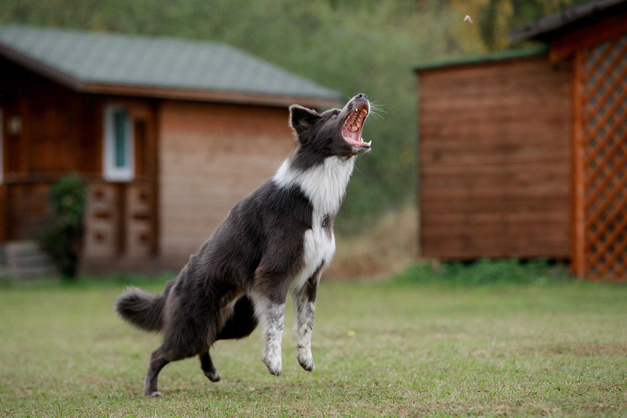 Лагерь по ОБД с Инной Баженовой. Фотограф-анималист Mary Mart — Москва, Питер