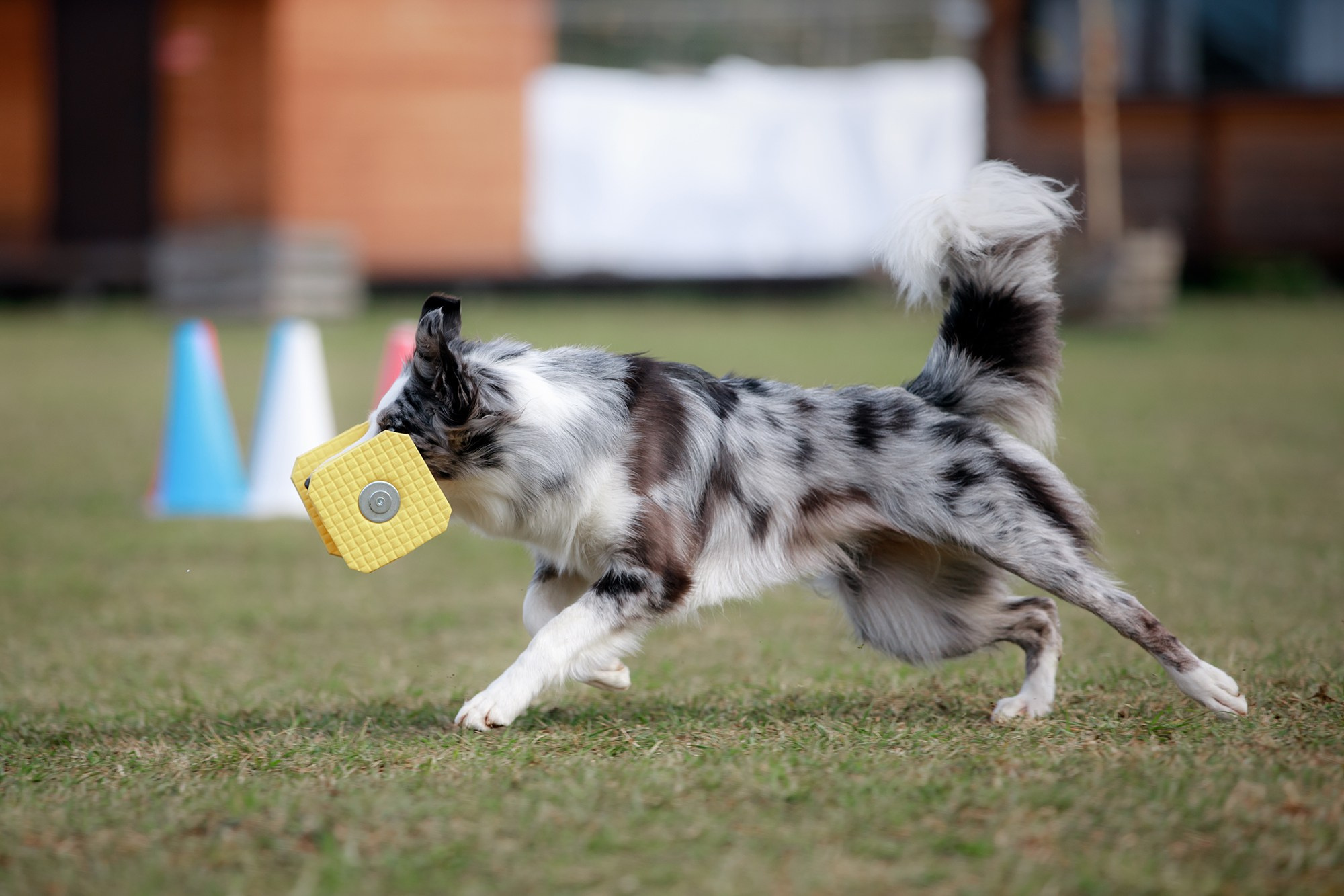 Лагерь по ОБД с Инной Баженовой. Фотограф-анималист Mary Mart — Москва, Питер