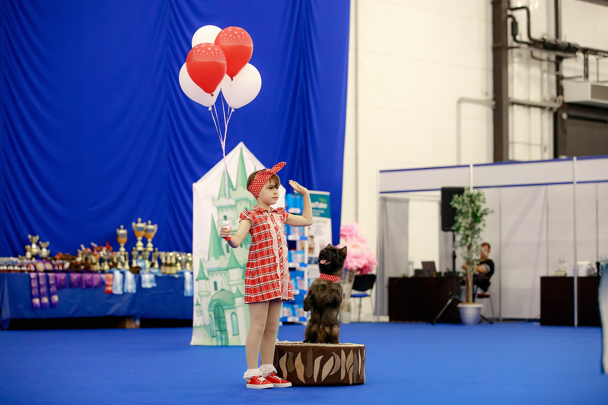 Танцы на выставке «Зоошоу», СПб. Фотограф-анималист Mary Mart — Москва, Питер