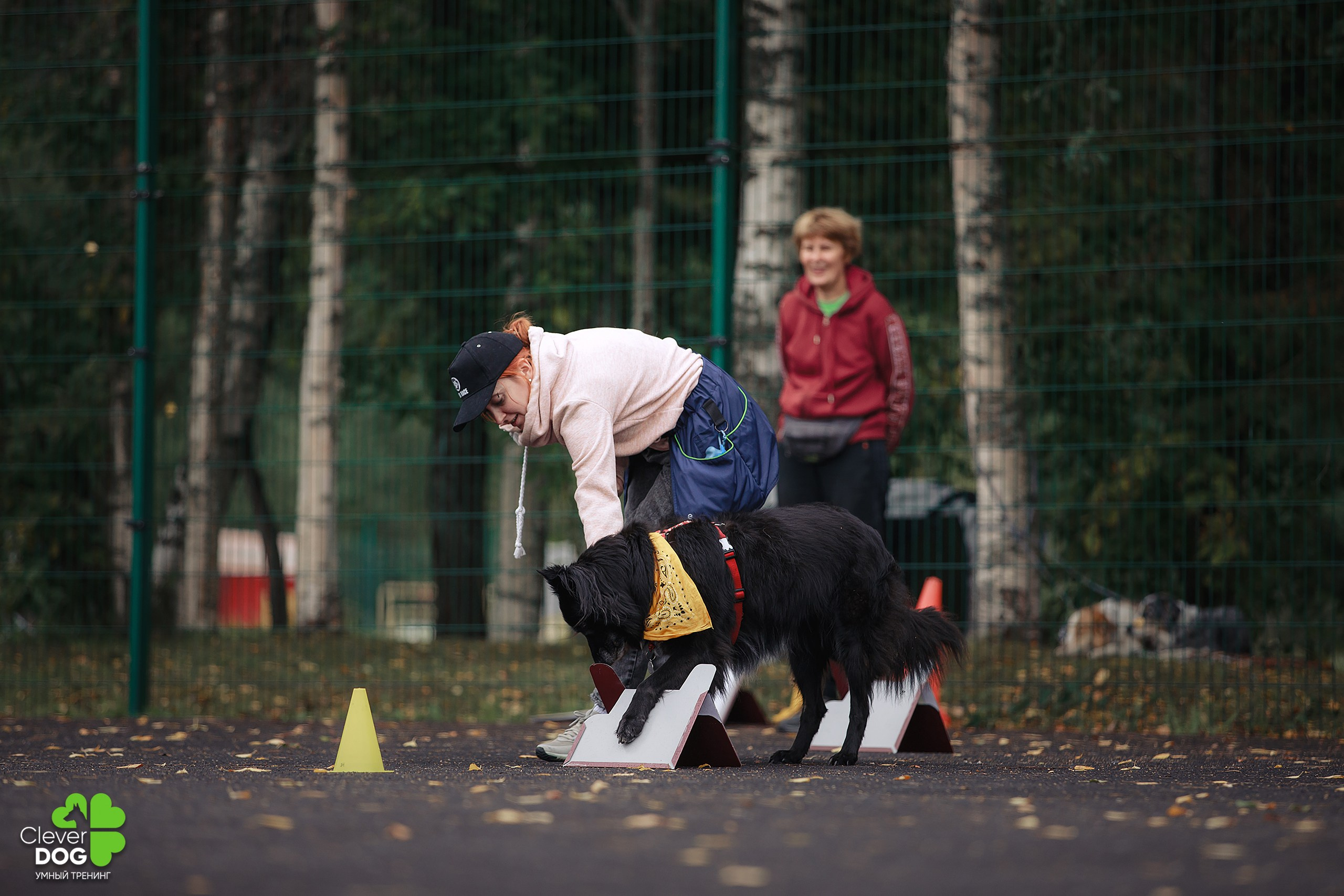Кинологический лагерь CleverDog, 2024. Фотограф-анималист Mary Mart — Москва, Питер
