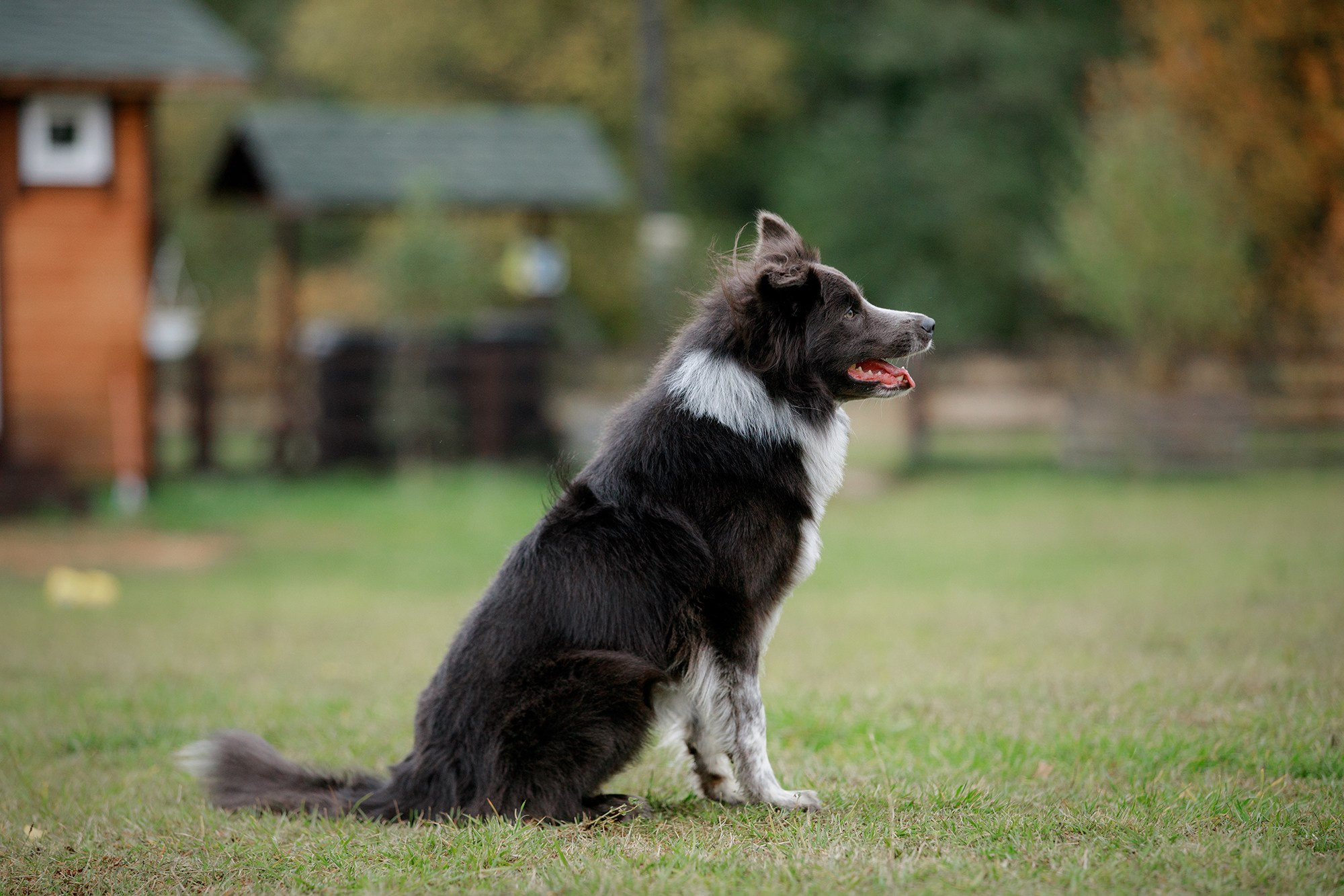 Лагерь по ОБД с Инной Баженовой. Фотограф-анималист Mary Mart — Москва, Питер