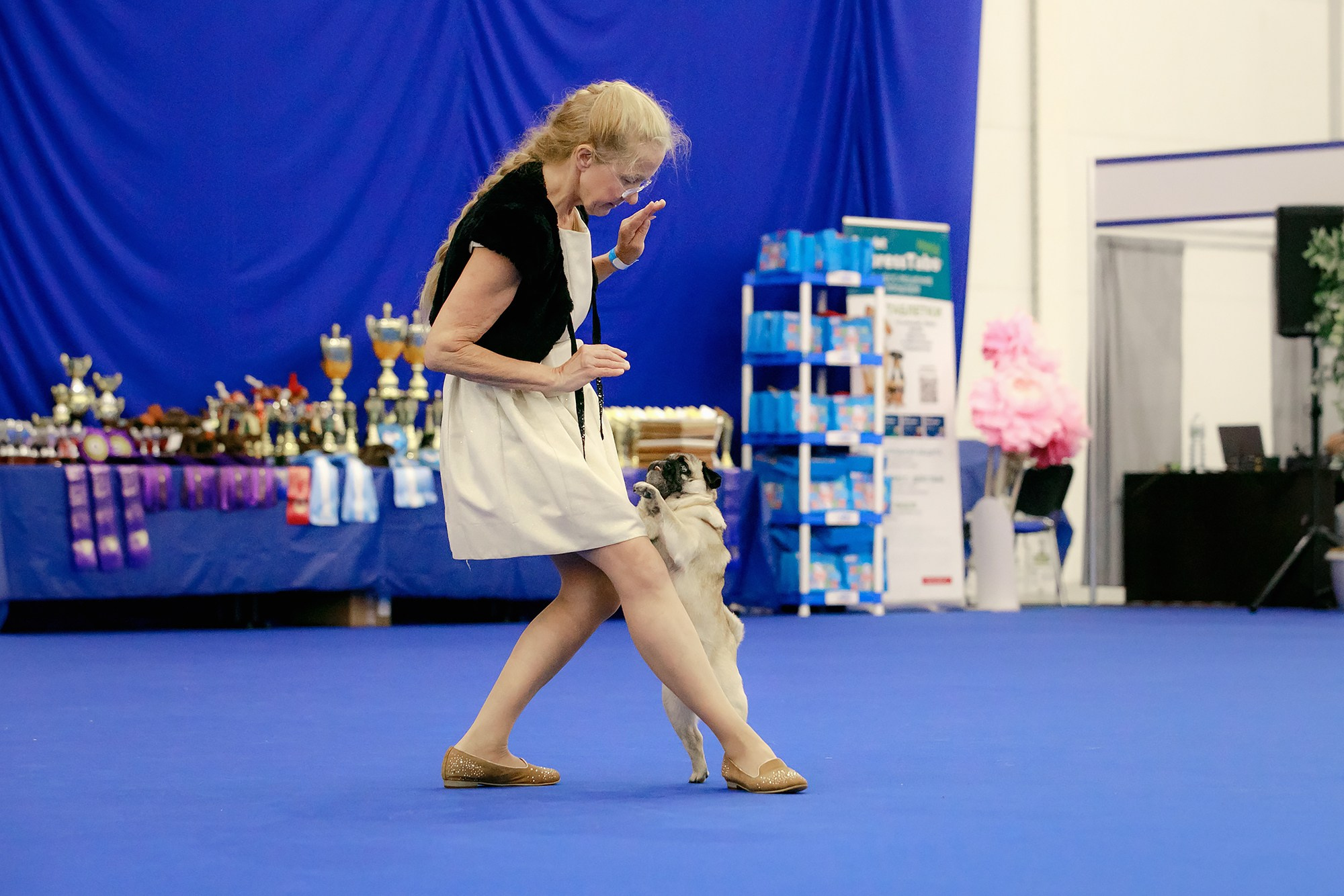 Танцы на выставке «Зоошоу», СПб. Фотограф-анималист Mary Mart — Москва, Питер