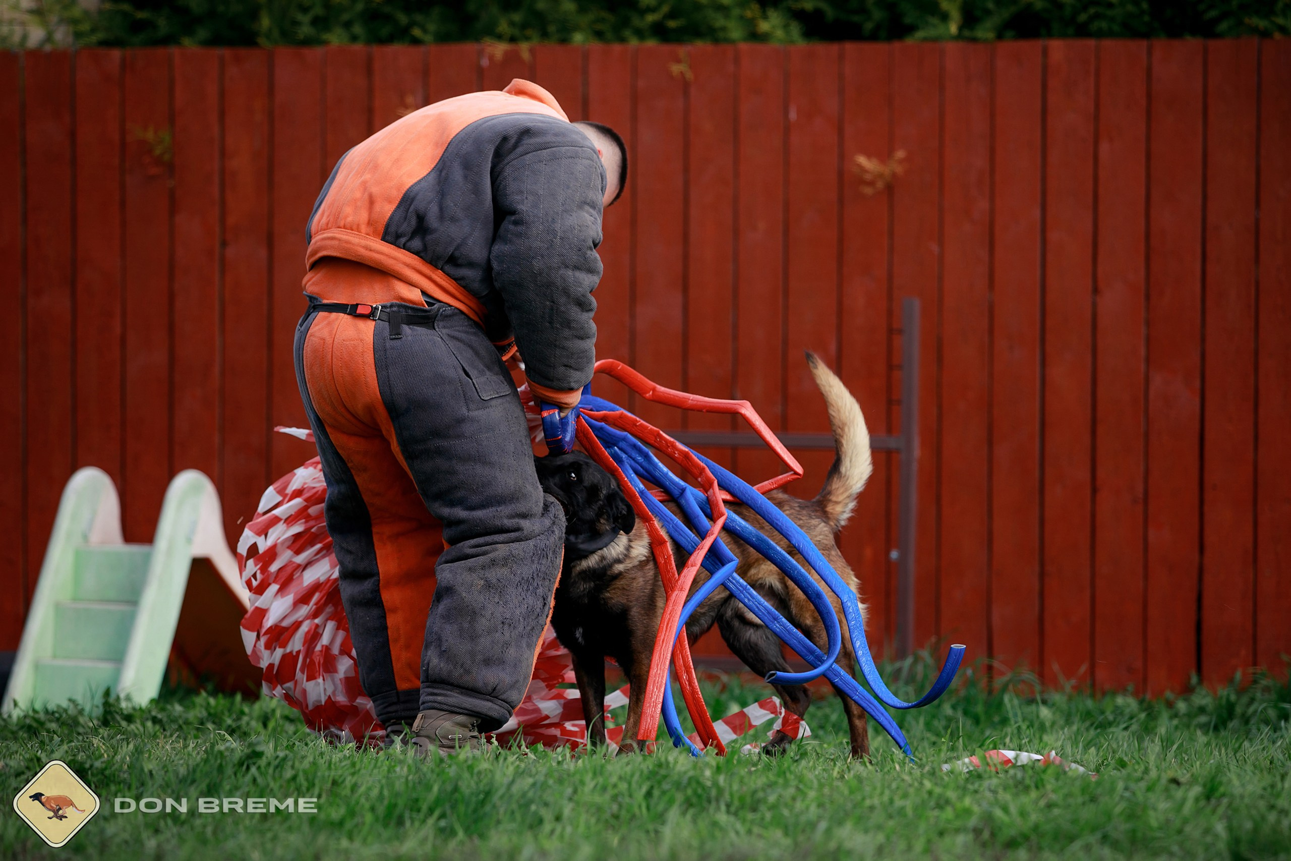 Семинар для фигурантов, день 2. Фотограф-анималист Mary Mart — Москва, Питер