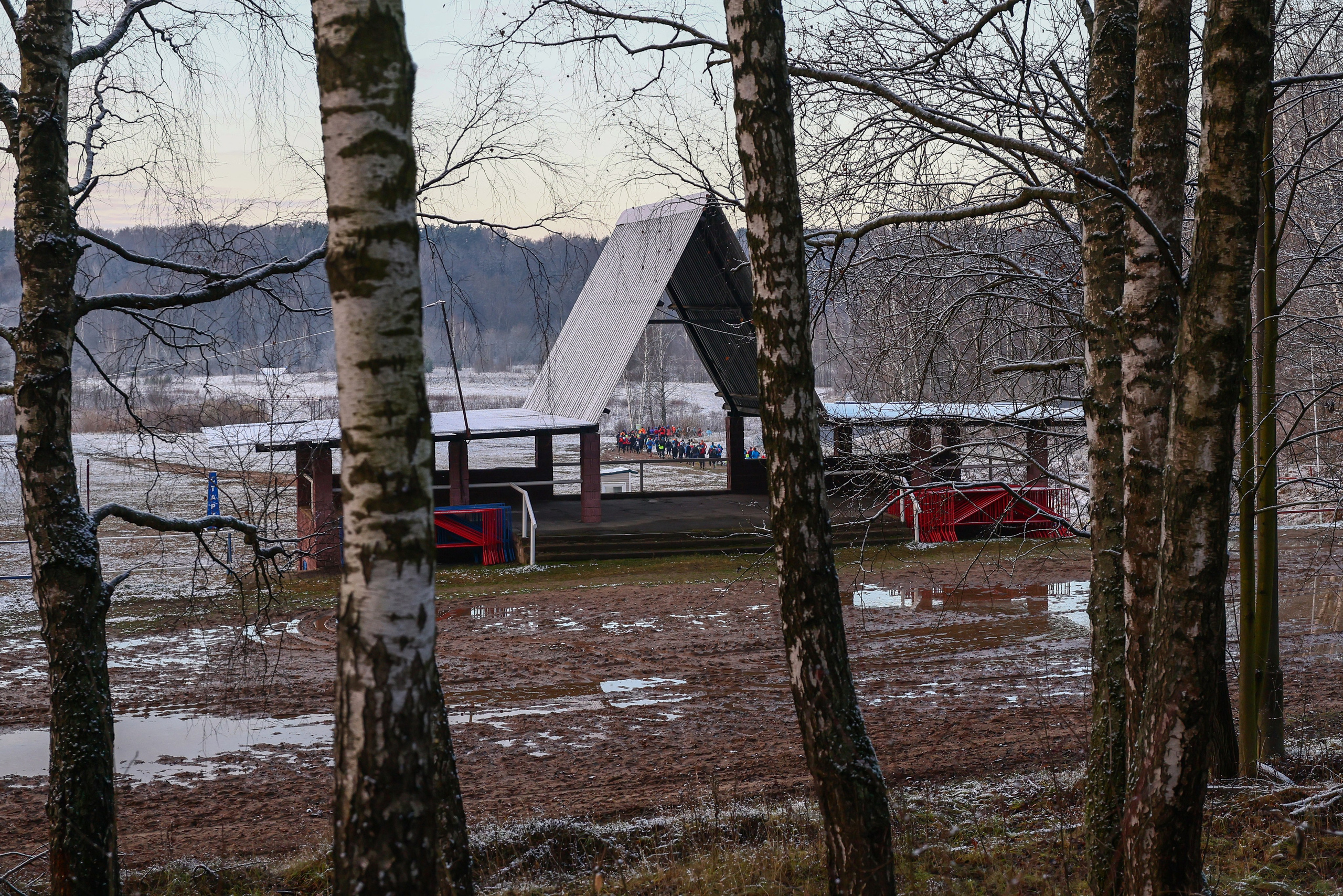 Два лепестка Химкинского марафона у дома, 23.11.25. Фотограф Сергей Ловкий