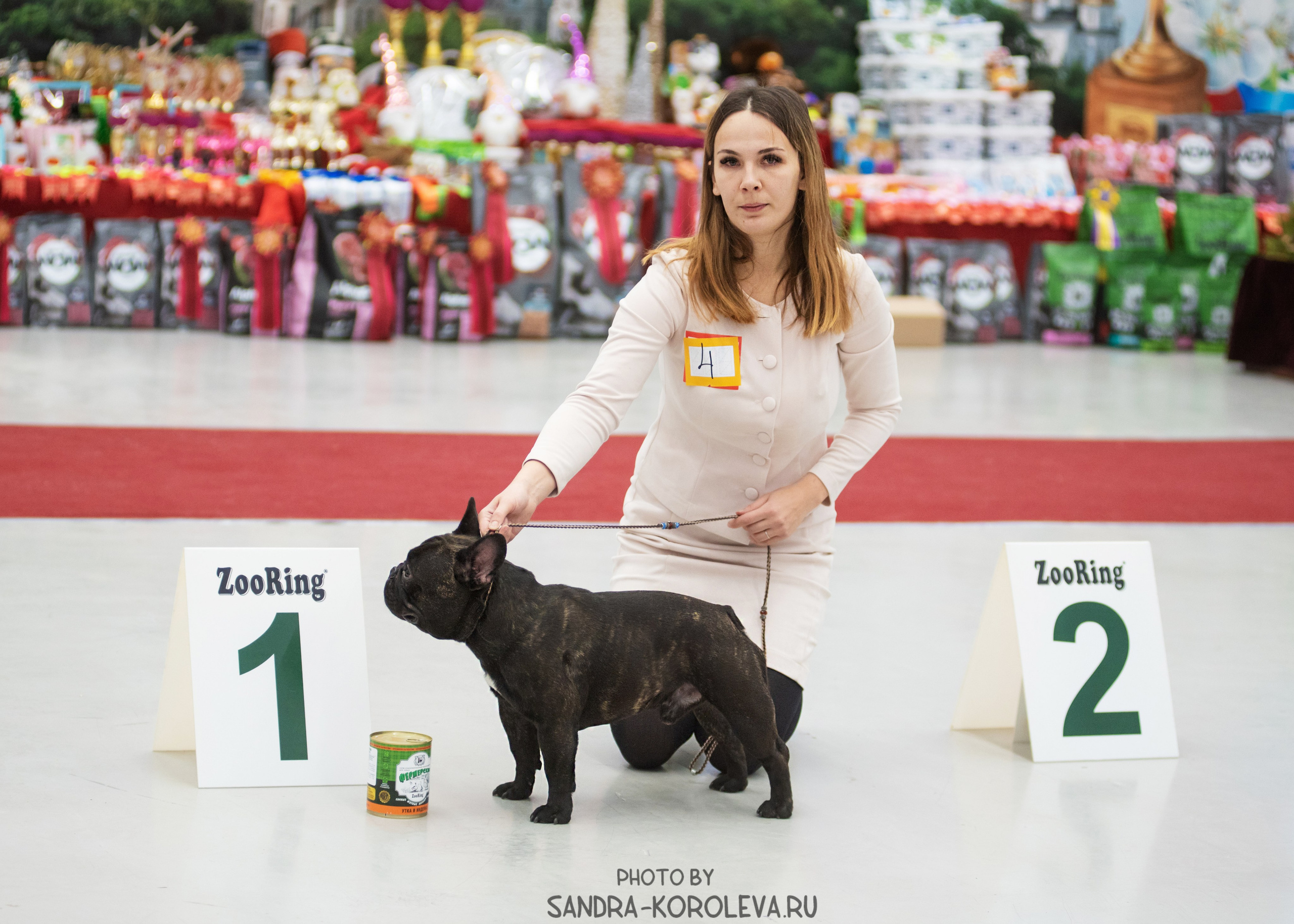 Выставка собак тюмень 10.12.2022. Дог-фотограф в Тюмени Александра Королева