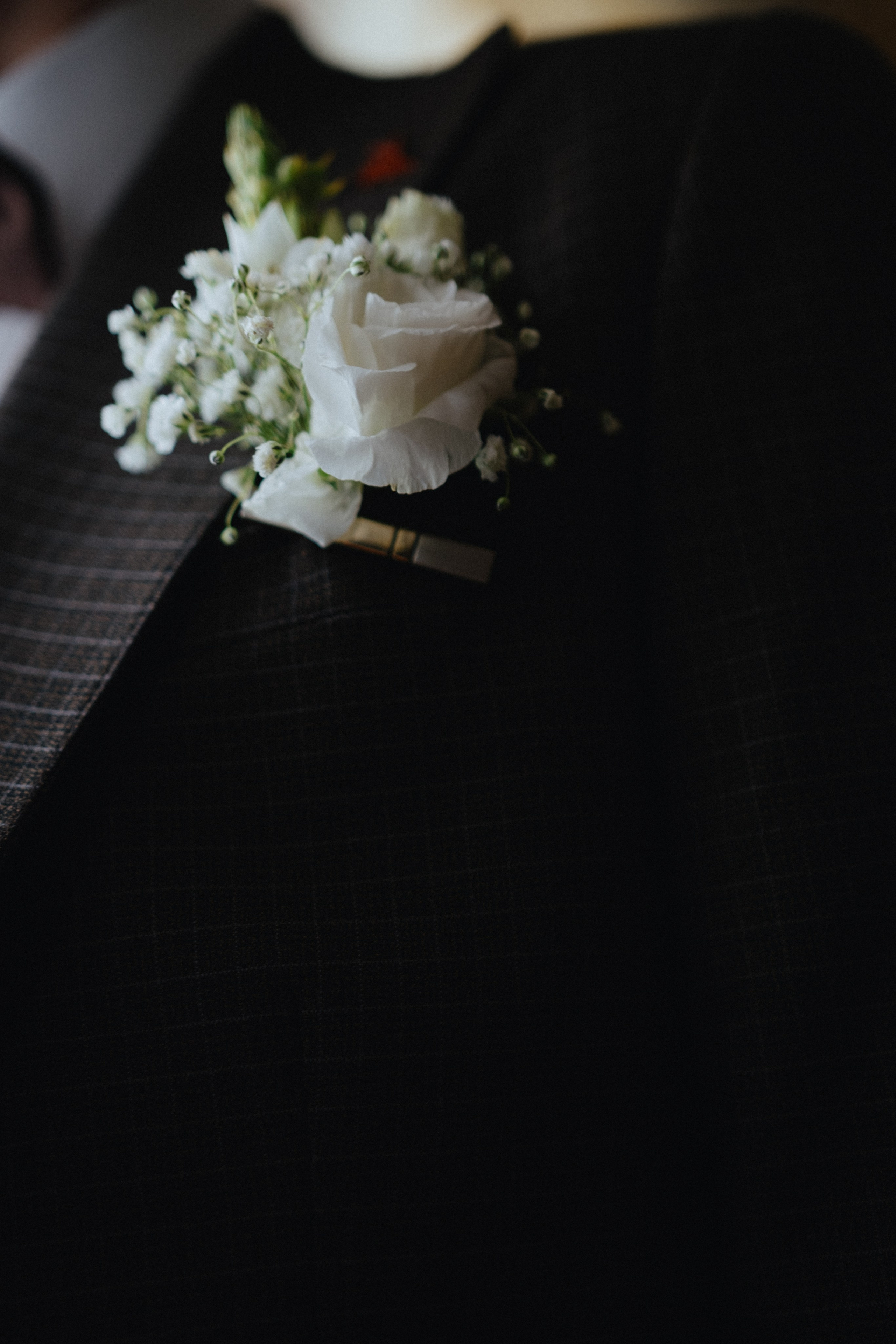 Луиза & Александр. Свадебный, семейный фотограф в Санкт-Петербурге