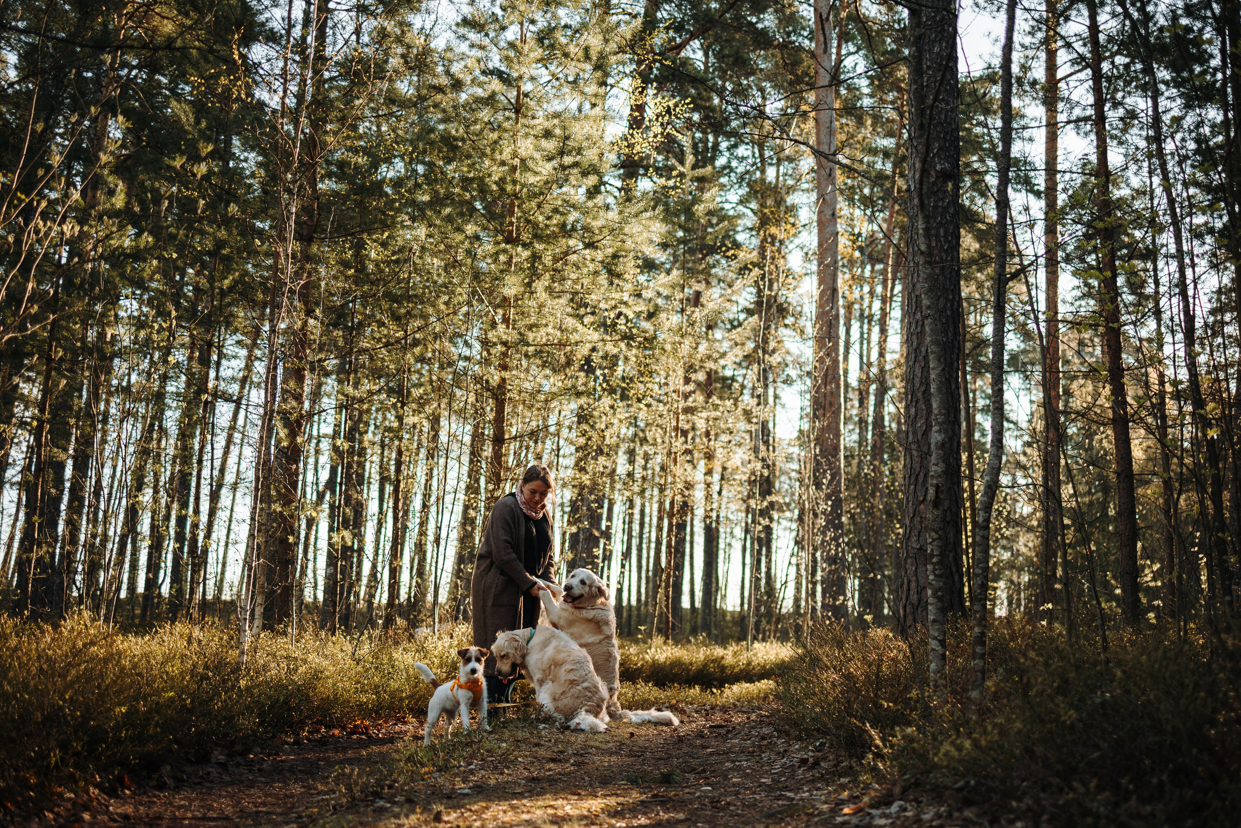 Катя и ее девочки. Фотограф — Анималист | Санкт-Петербург