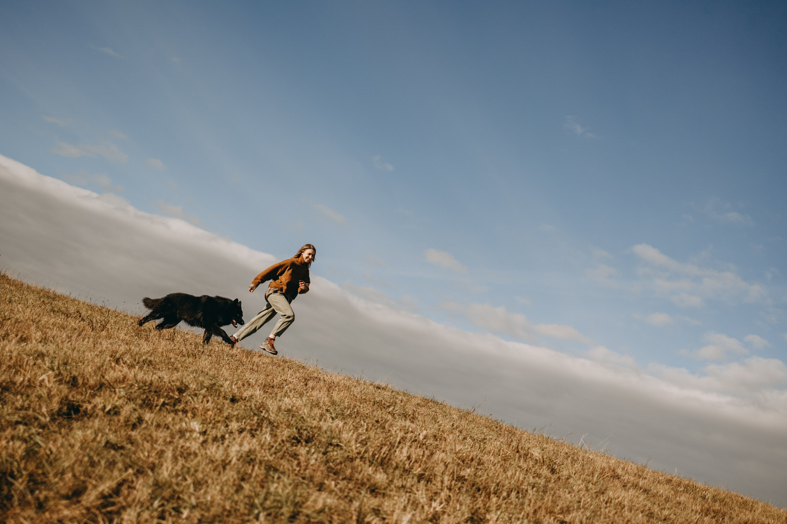 Лора и Джанго. Фотограф — Анималист | Санкт-Петербург
