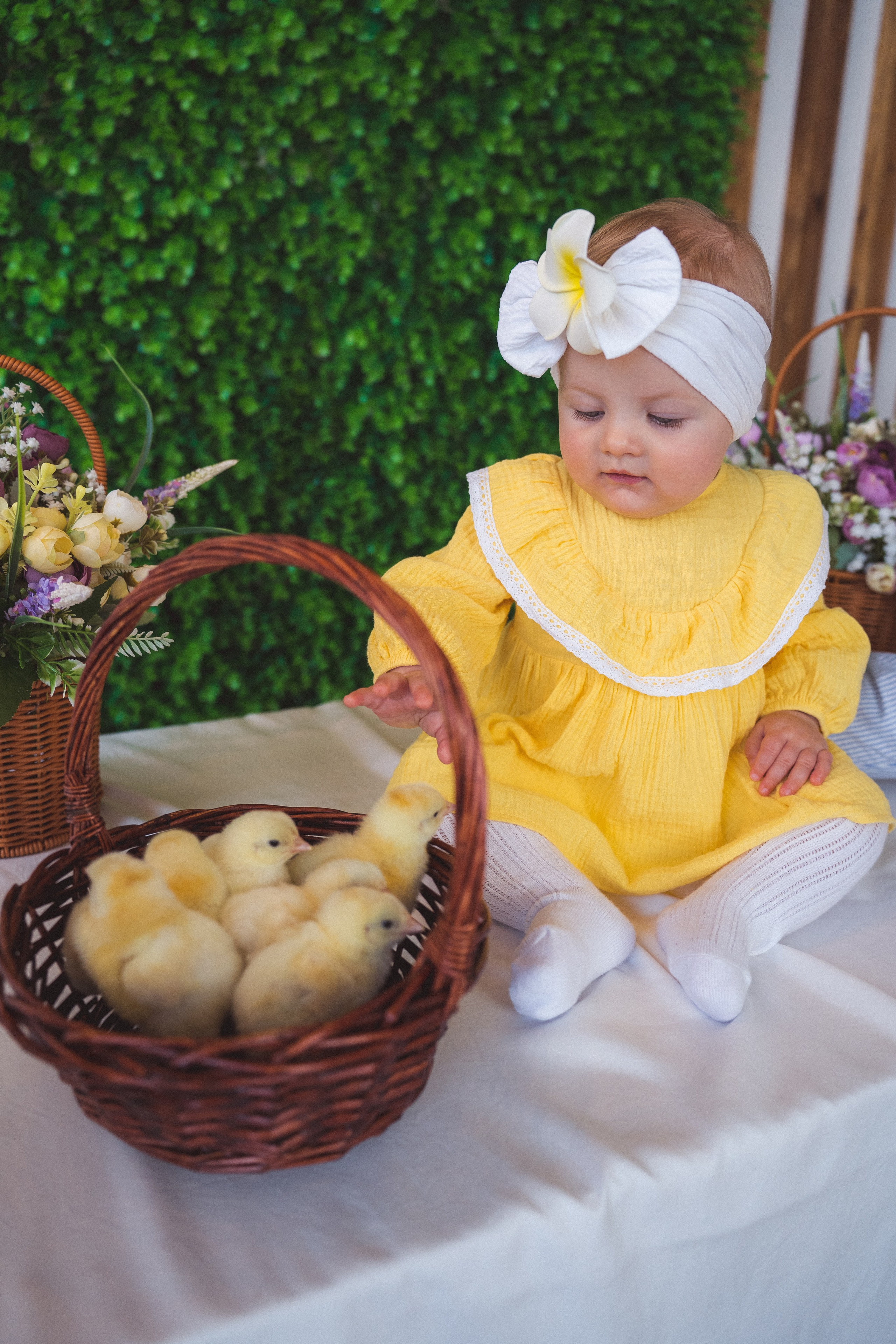 Пасхальный фотодень с цыплятами и кроликами. Фотограф Маргарита Слободянина в Хабаровске