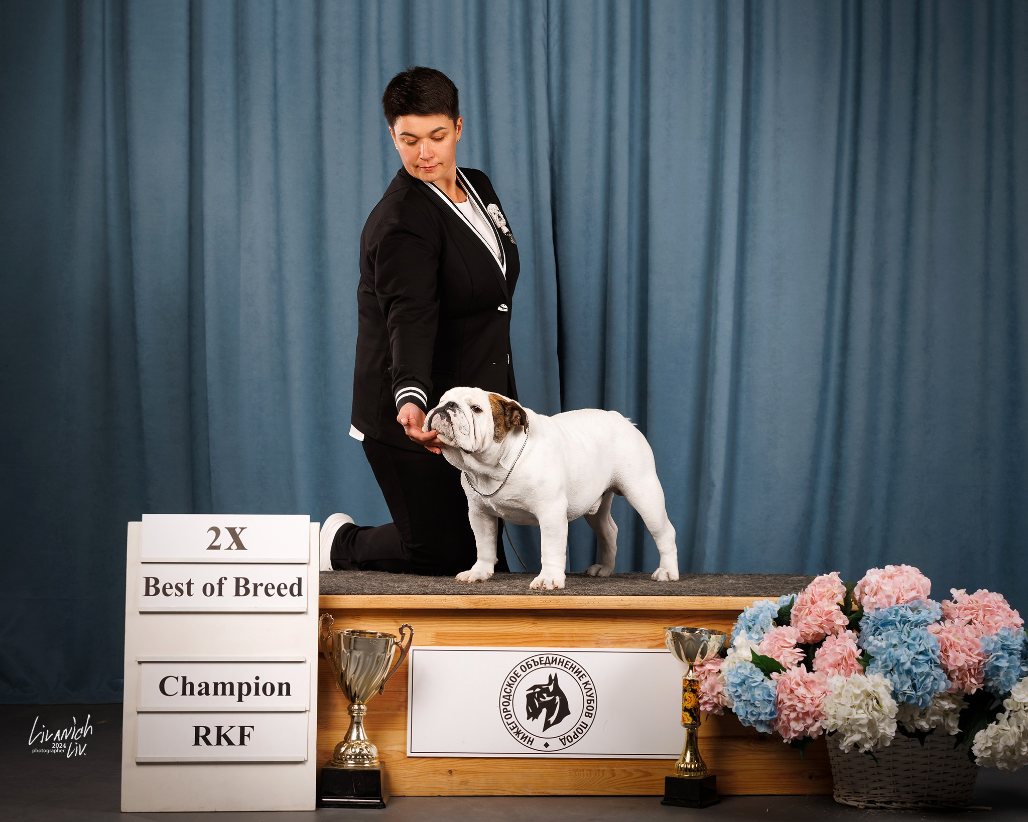 Выставки. Фотограф для вашей собаки