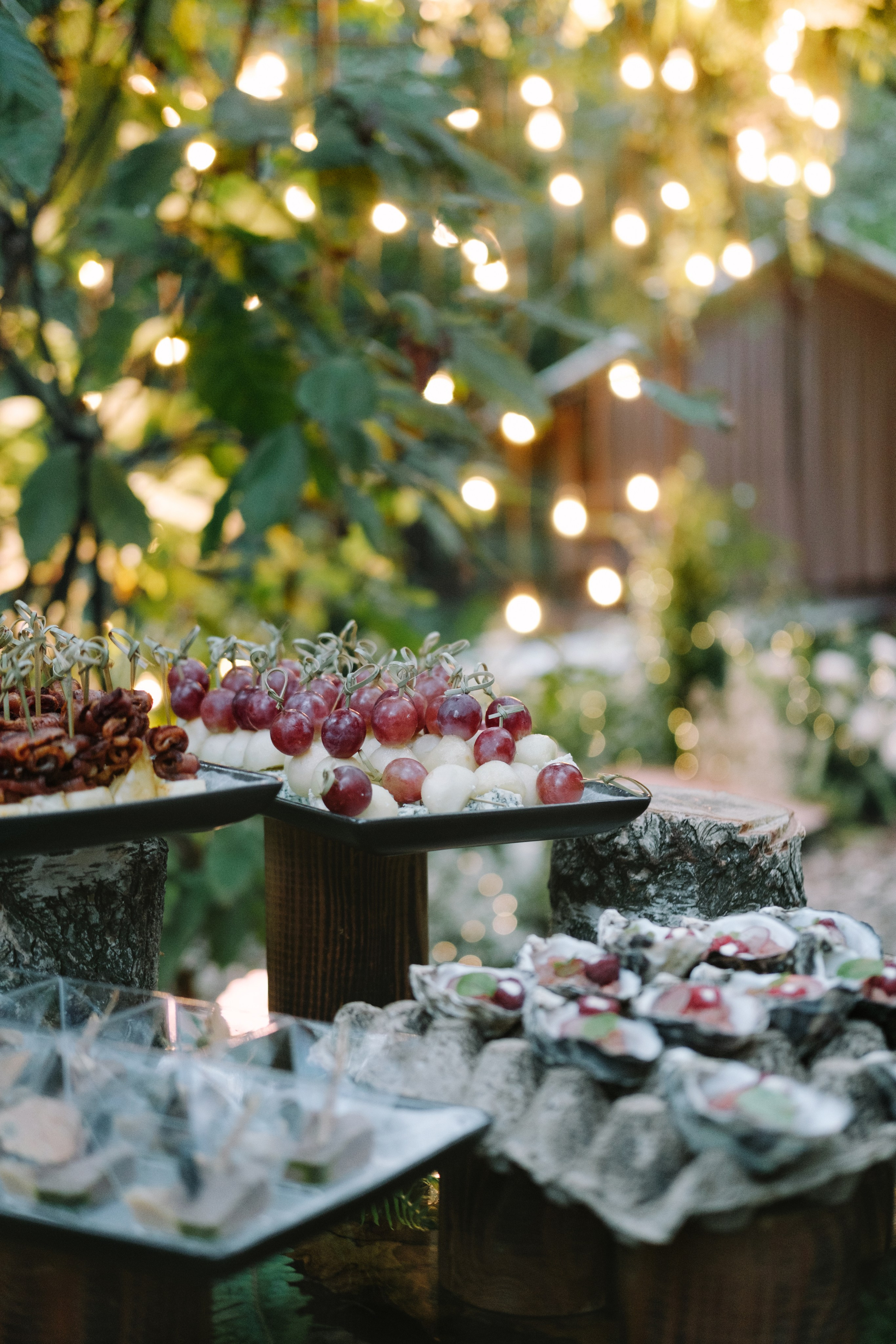 Кот и Дракон. Свадебный Видеограф Фотограф в Сочи