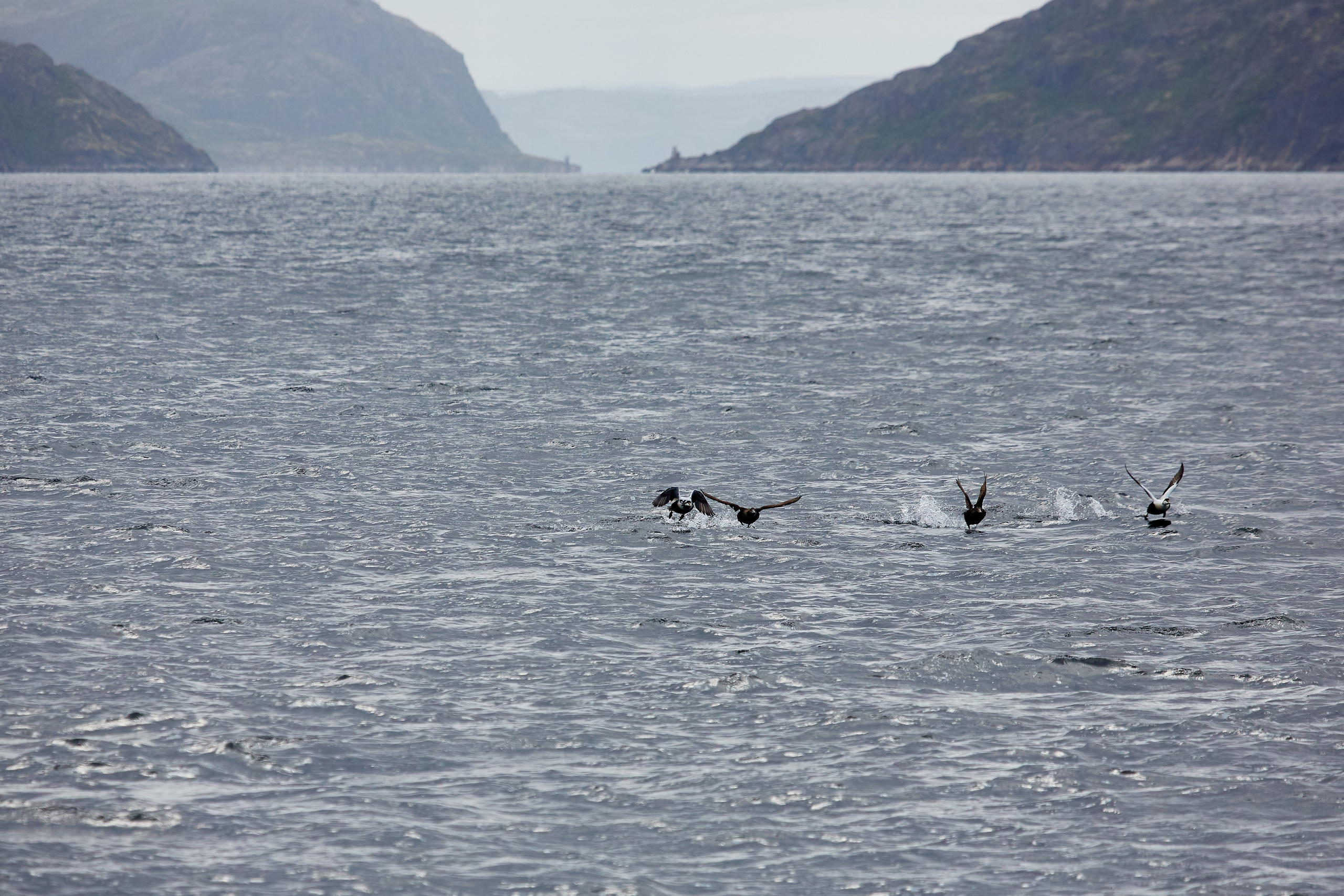 Баренцево море. Пейзажи Крайнего Севера. Баренцево море, Рыбачий, Средний, Немецкий