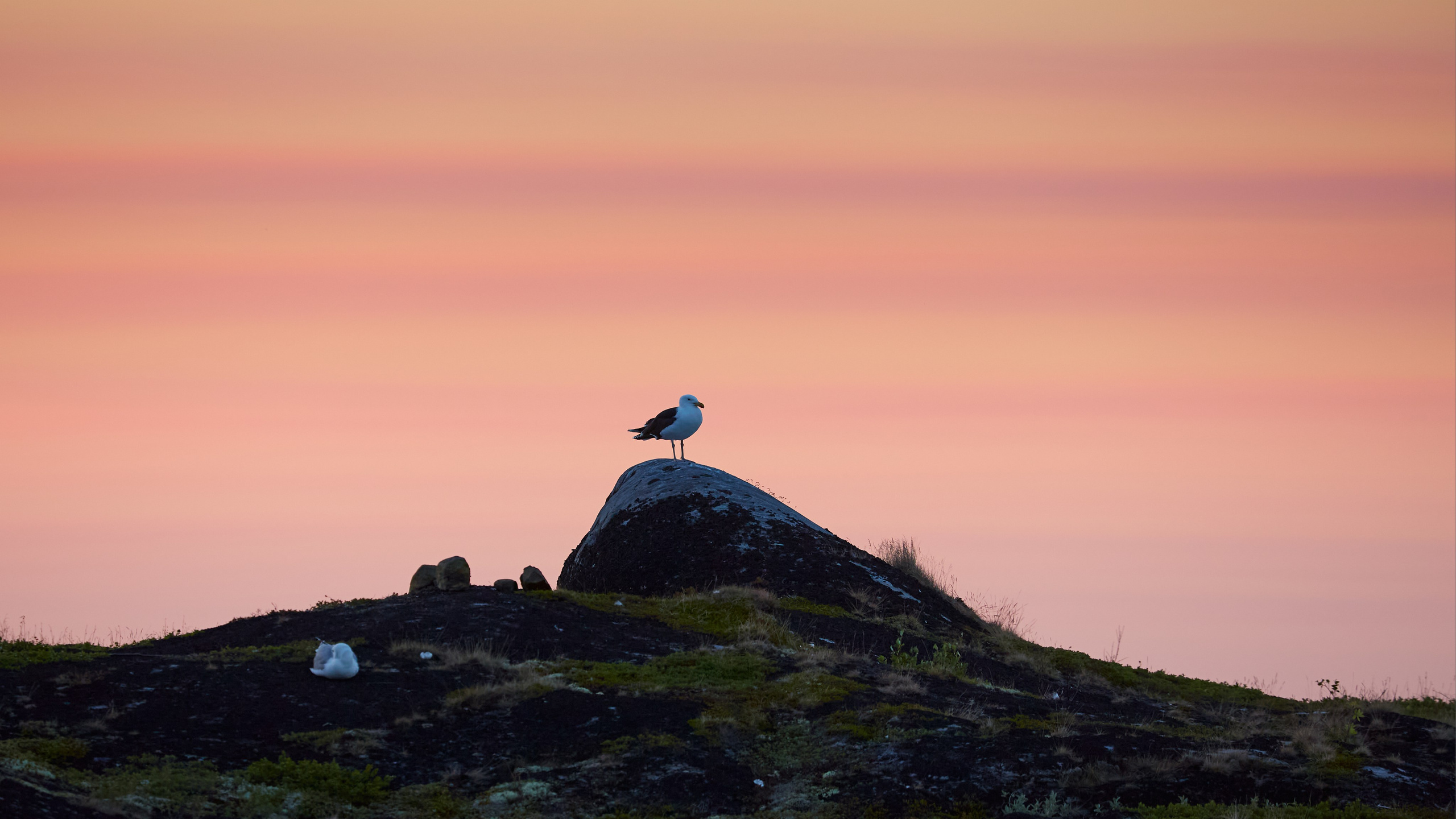 Баренцево море. Пейзажи Крайнего Севера. Баренцево море, Рыбачий, Средний, Немецкий