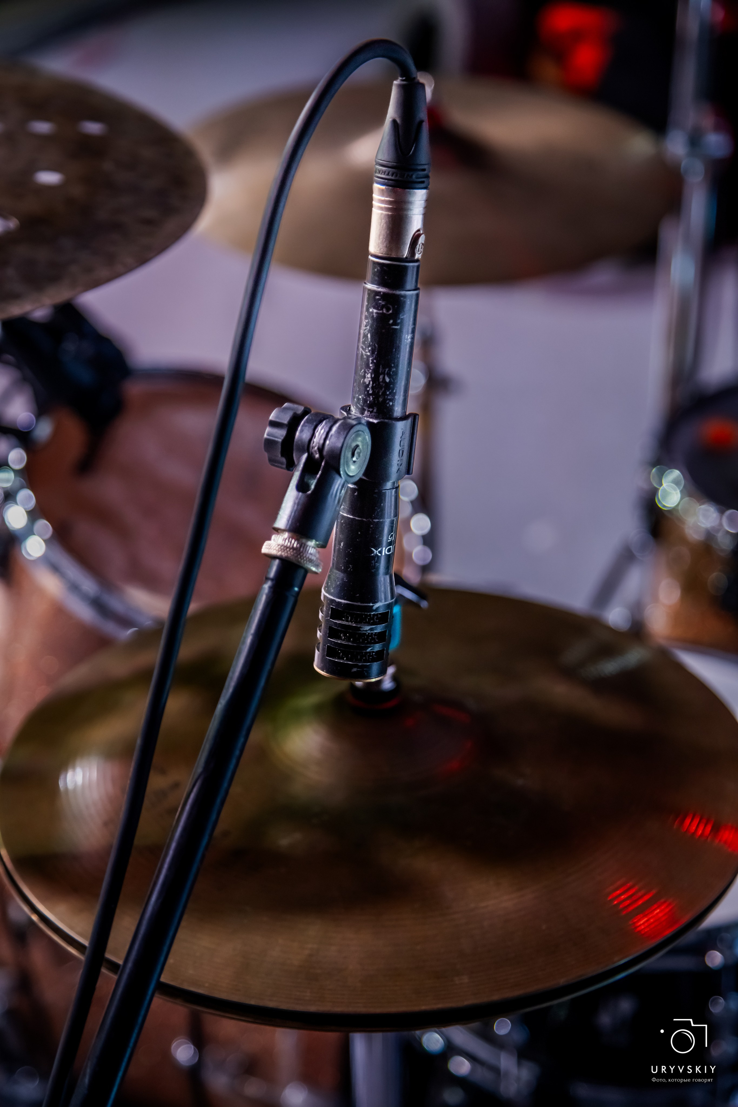 Рок фестиваль «НОВЫЕ фест». Игорь Урывский. Фотограф Красноярск