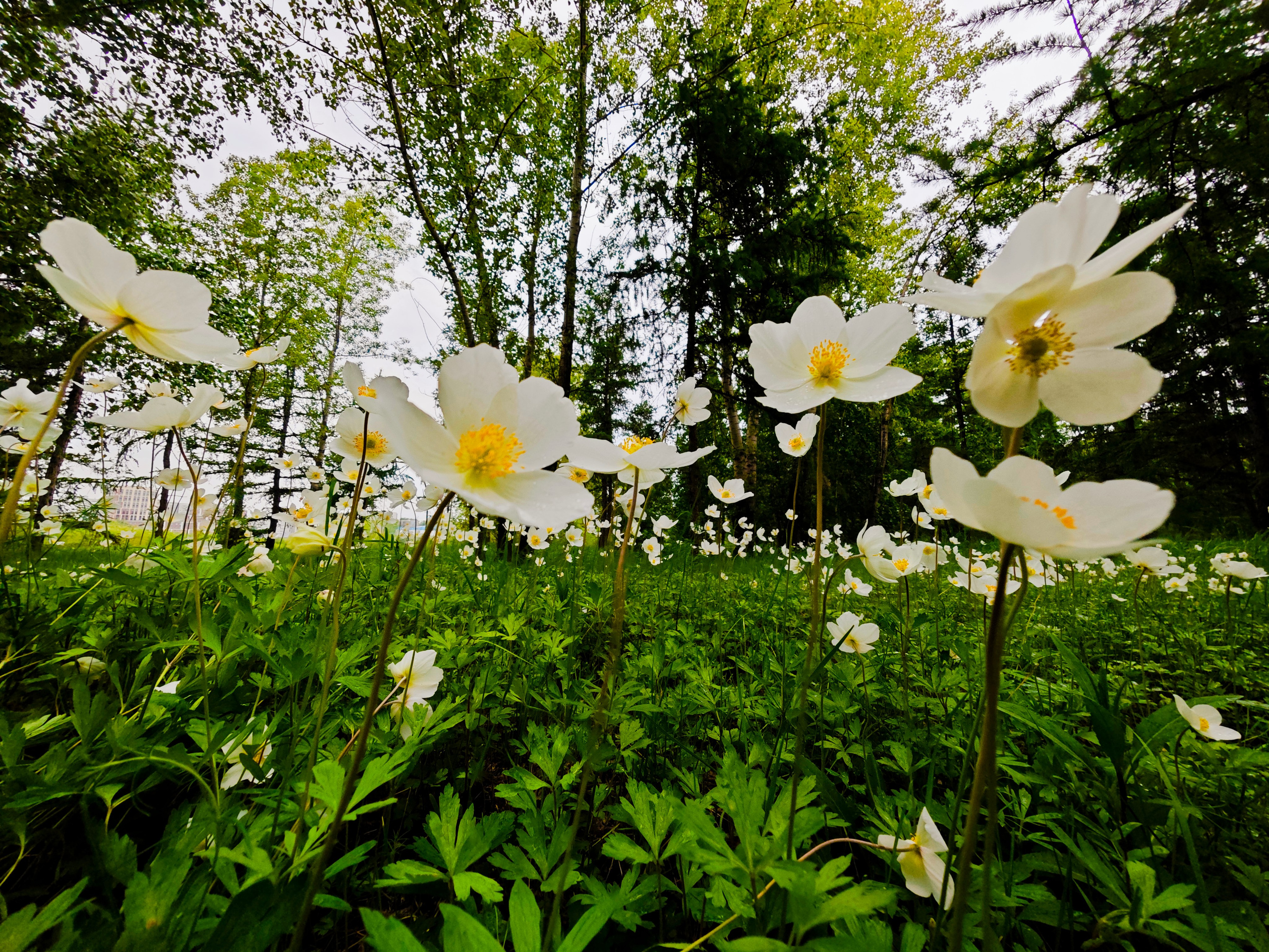Игорь Урывский. Фотограф Красноярск