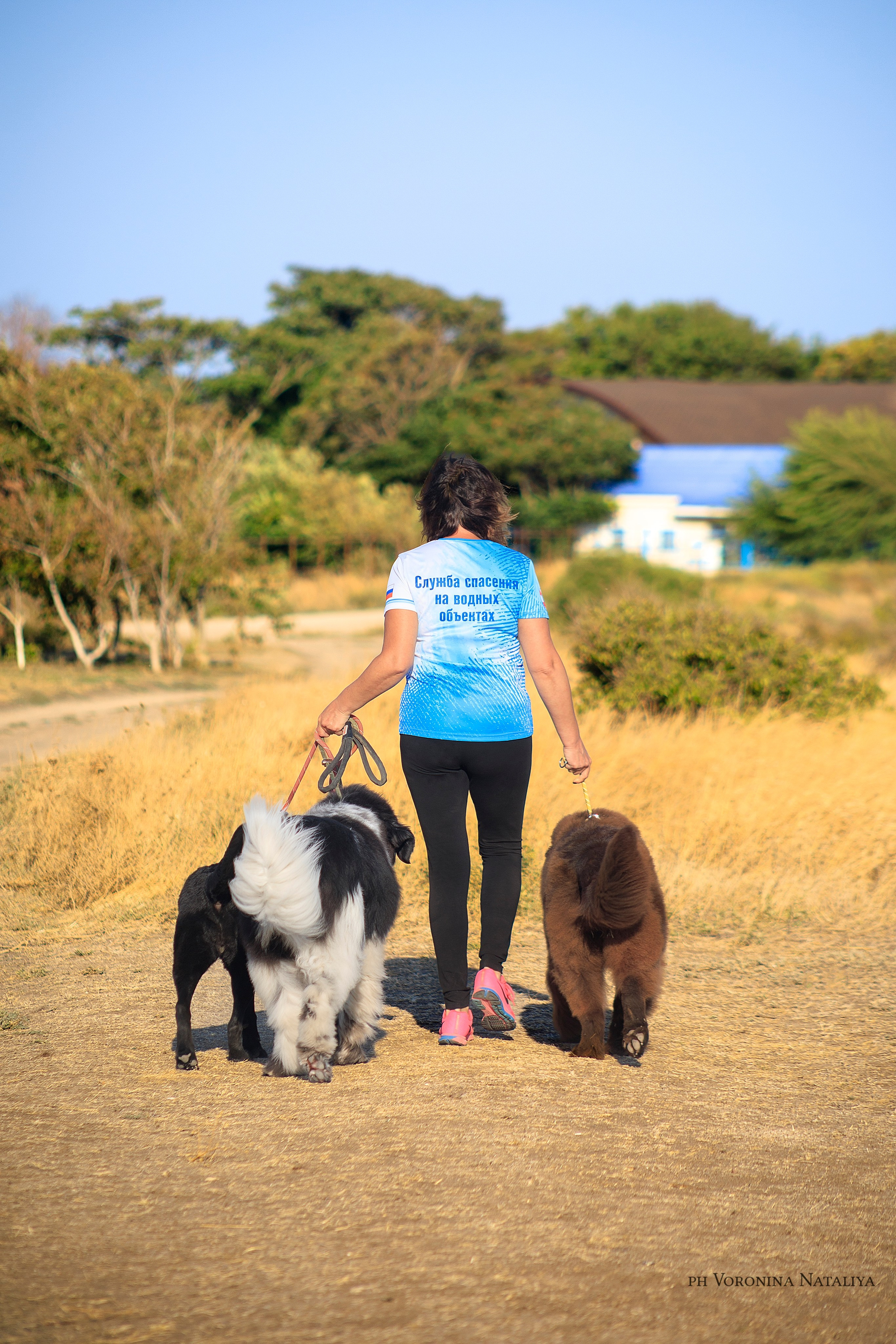 Анимализм Анжелика Сентябрь. Воронина Наталия — индивидуальный и свадебный фотограф в Рязани