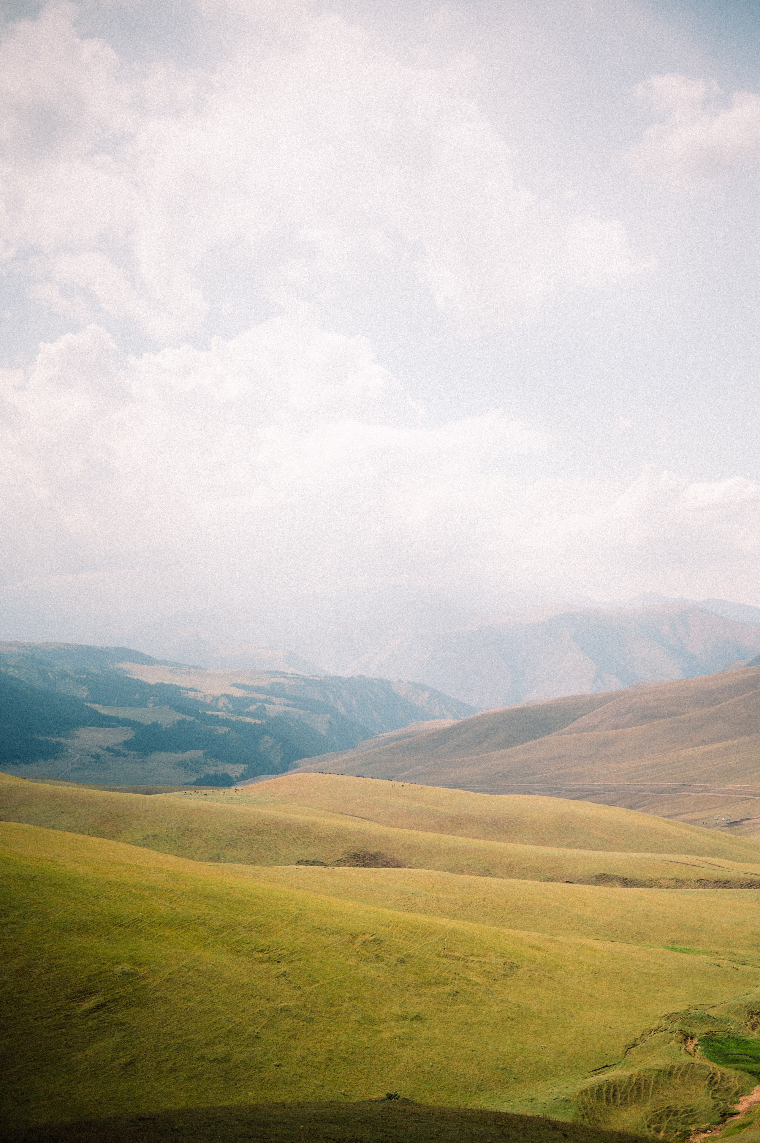 Плато Ассы: июль 2025. Фотограф в Алматы — Дарья Фёдорова