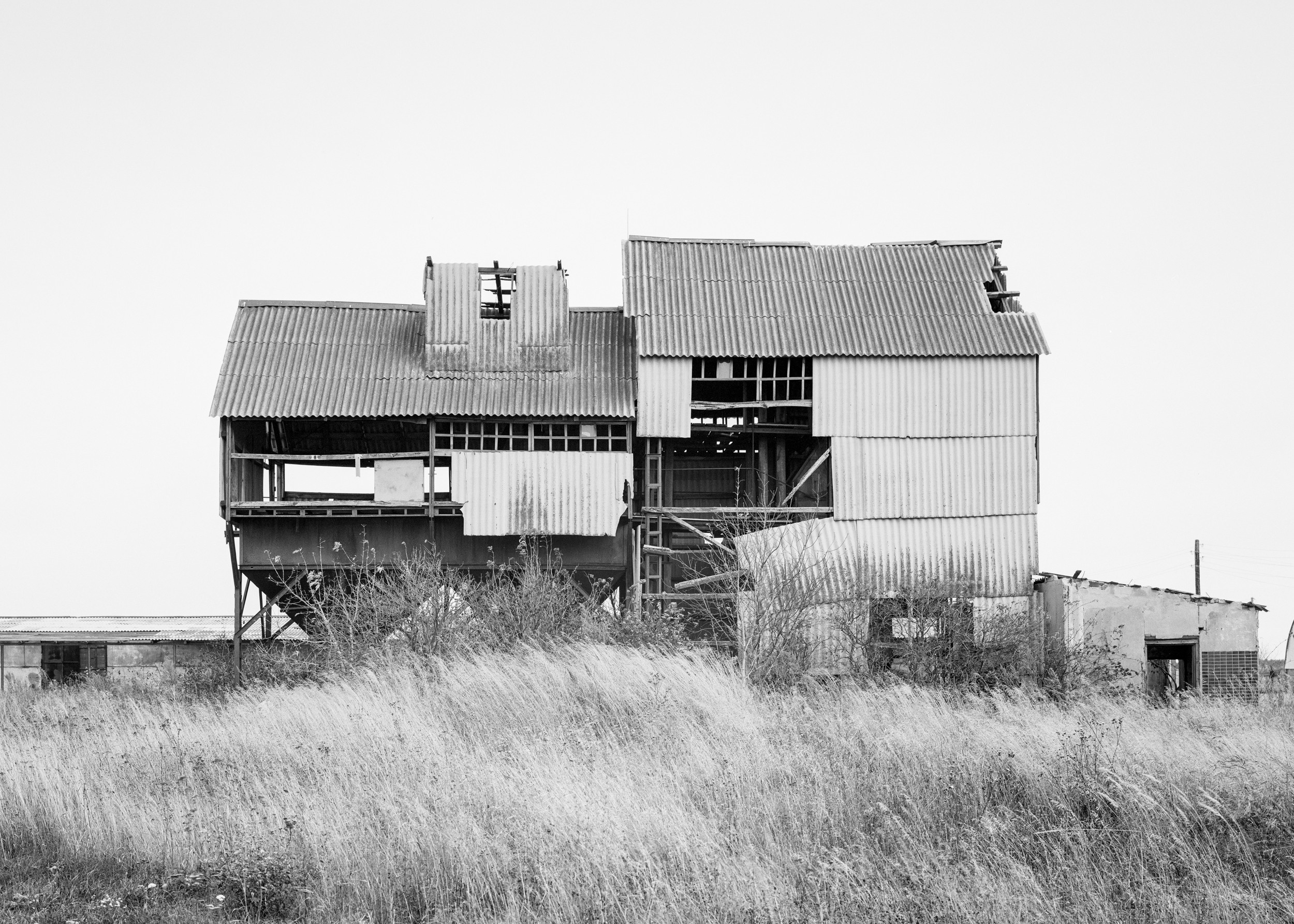 Зернотоки. Igor Volkov