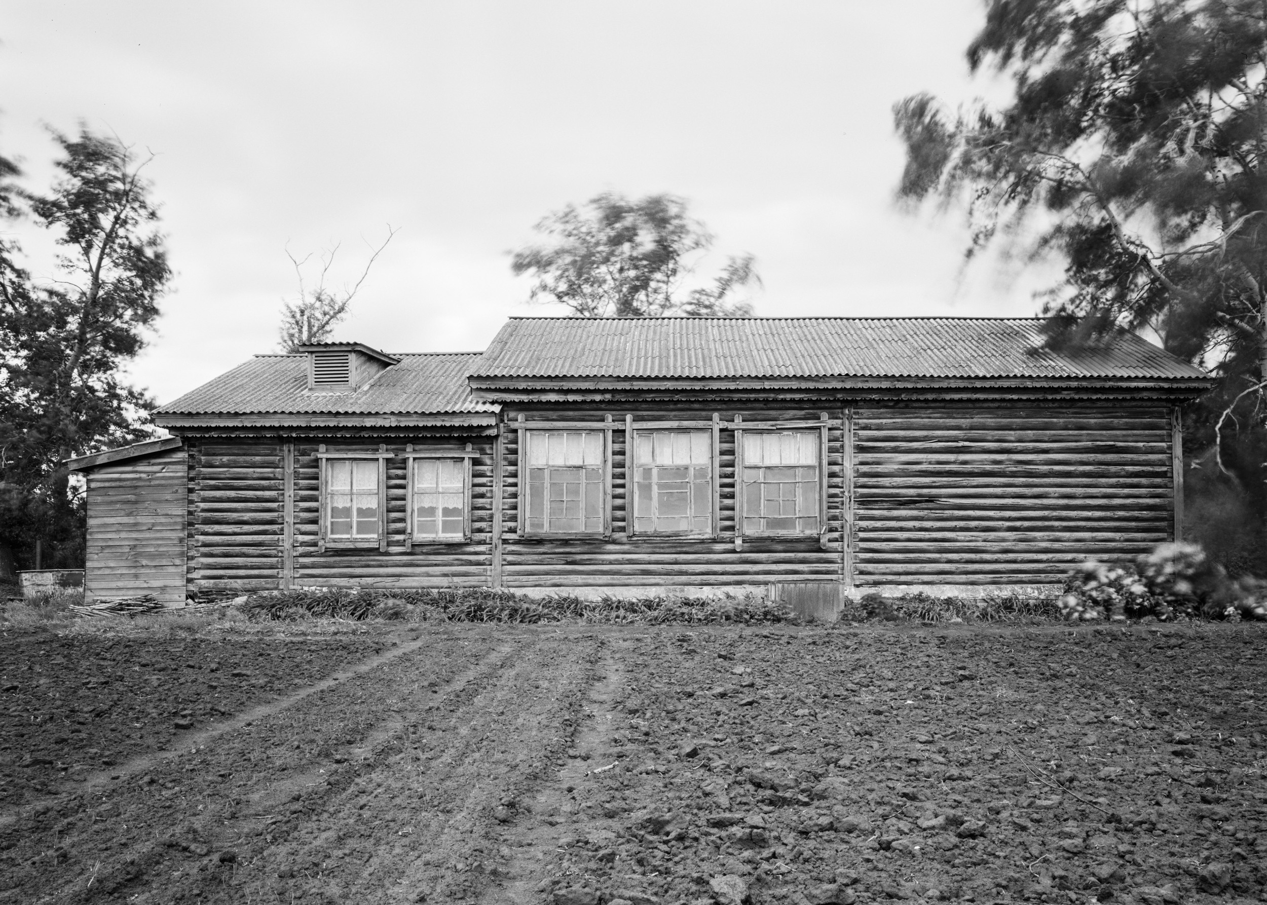 Школы. Igor Volkov