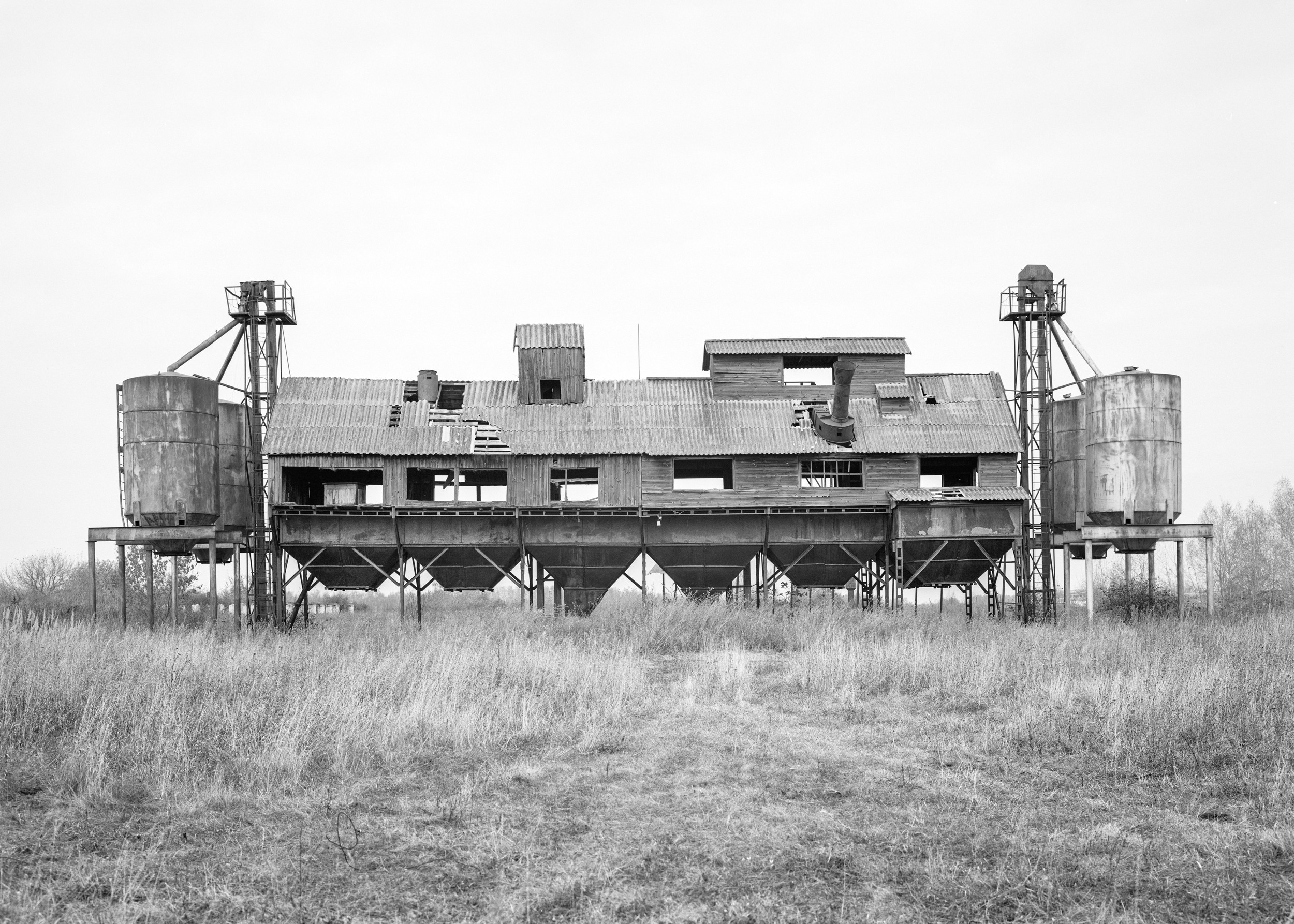 Зернотоки. Igor Volkov