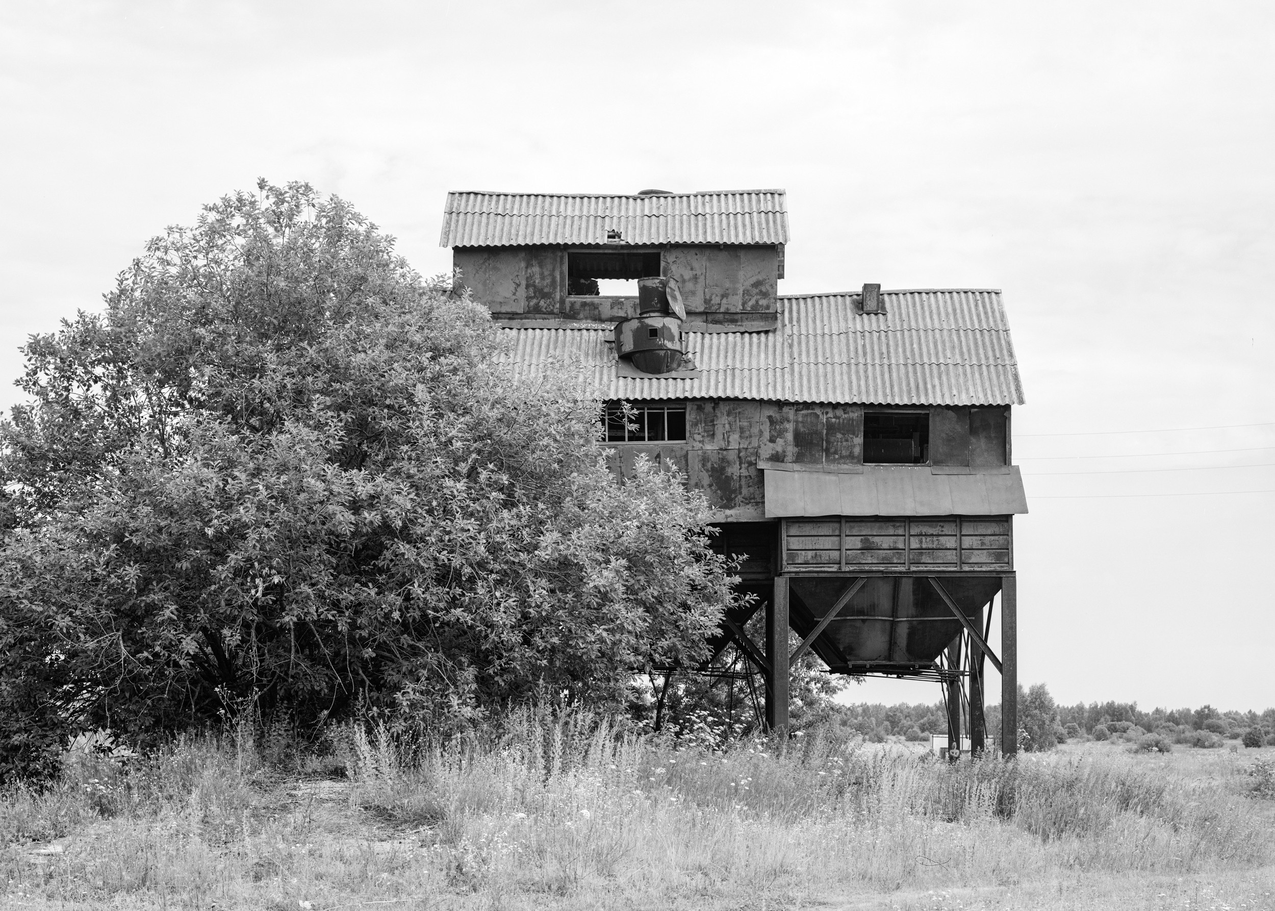 Зернотоки. Igor Volkov