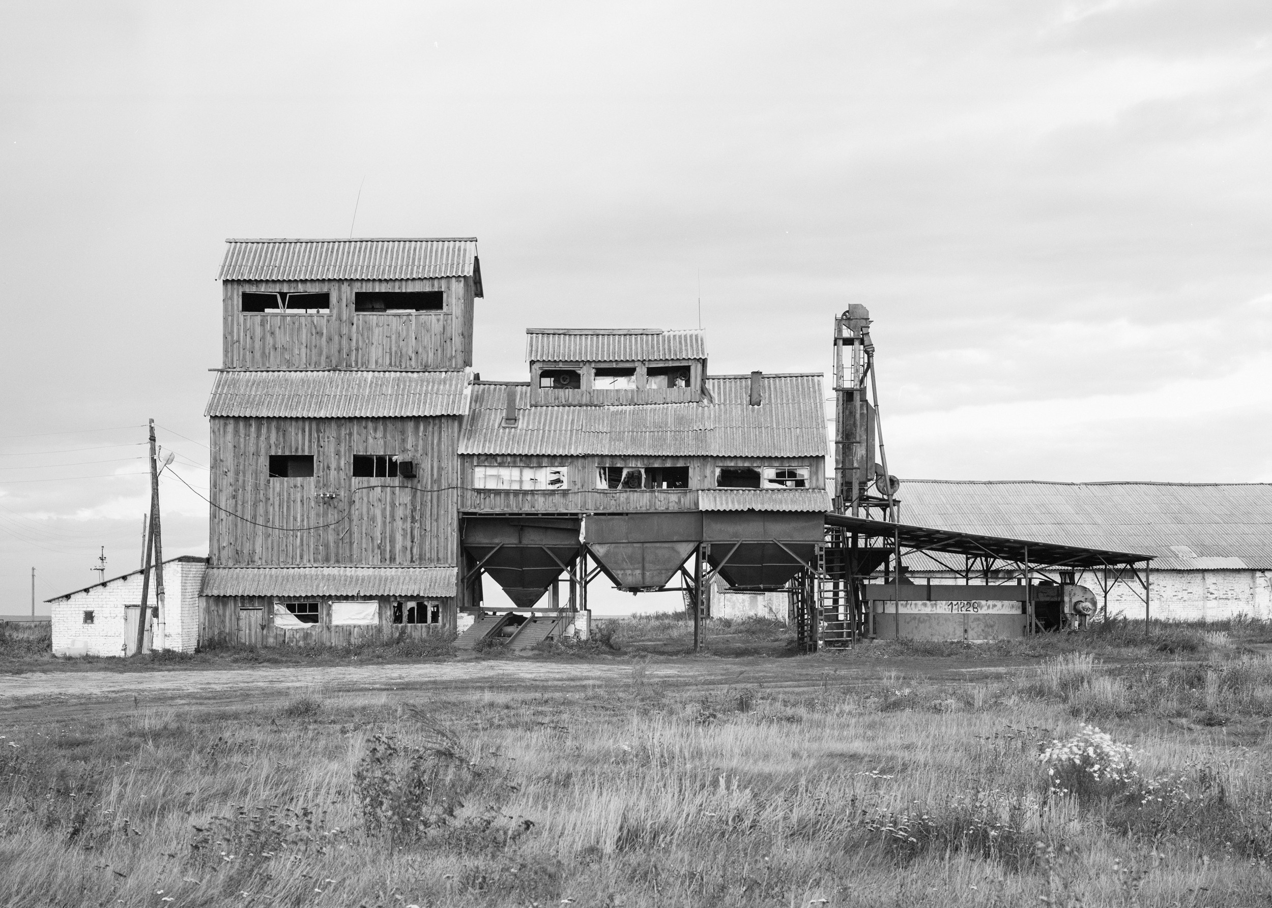 Зернотоки. Igor Volkov