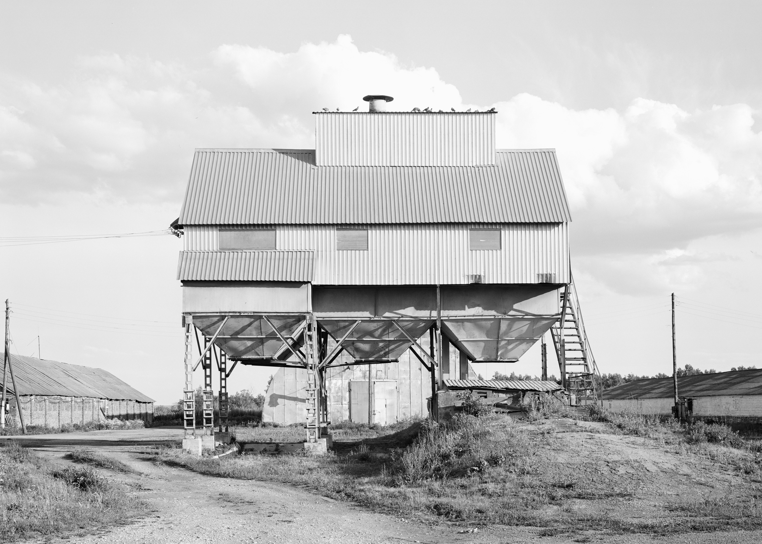 Зернотоки. Igor Volkov