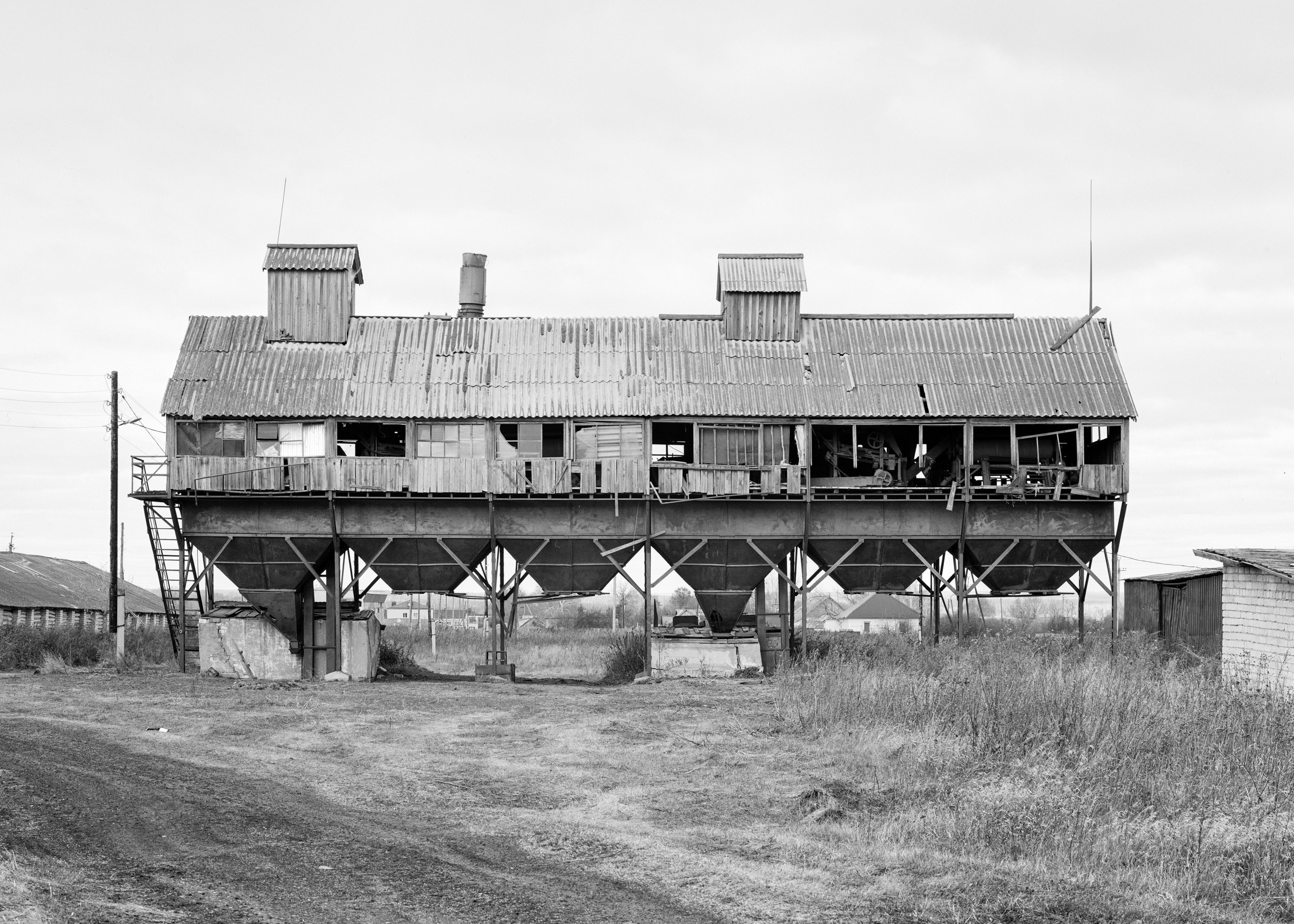 Зернотоки. Igor Volkov