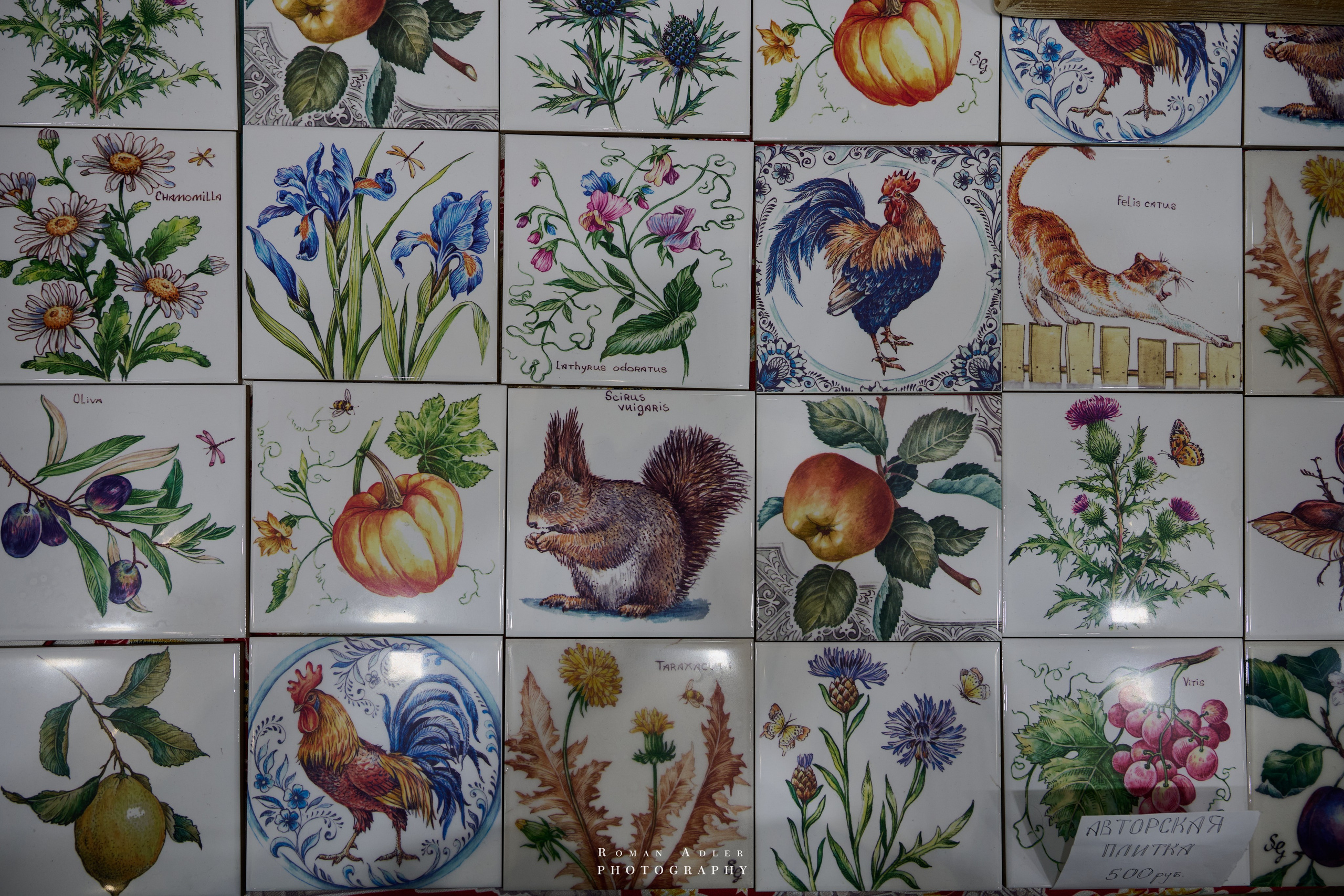 Открытие Форума Уникальная Россия. Фотограф Роман Адлер