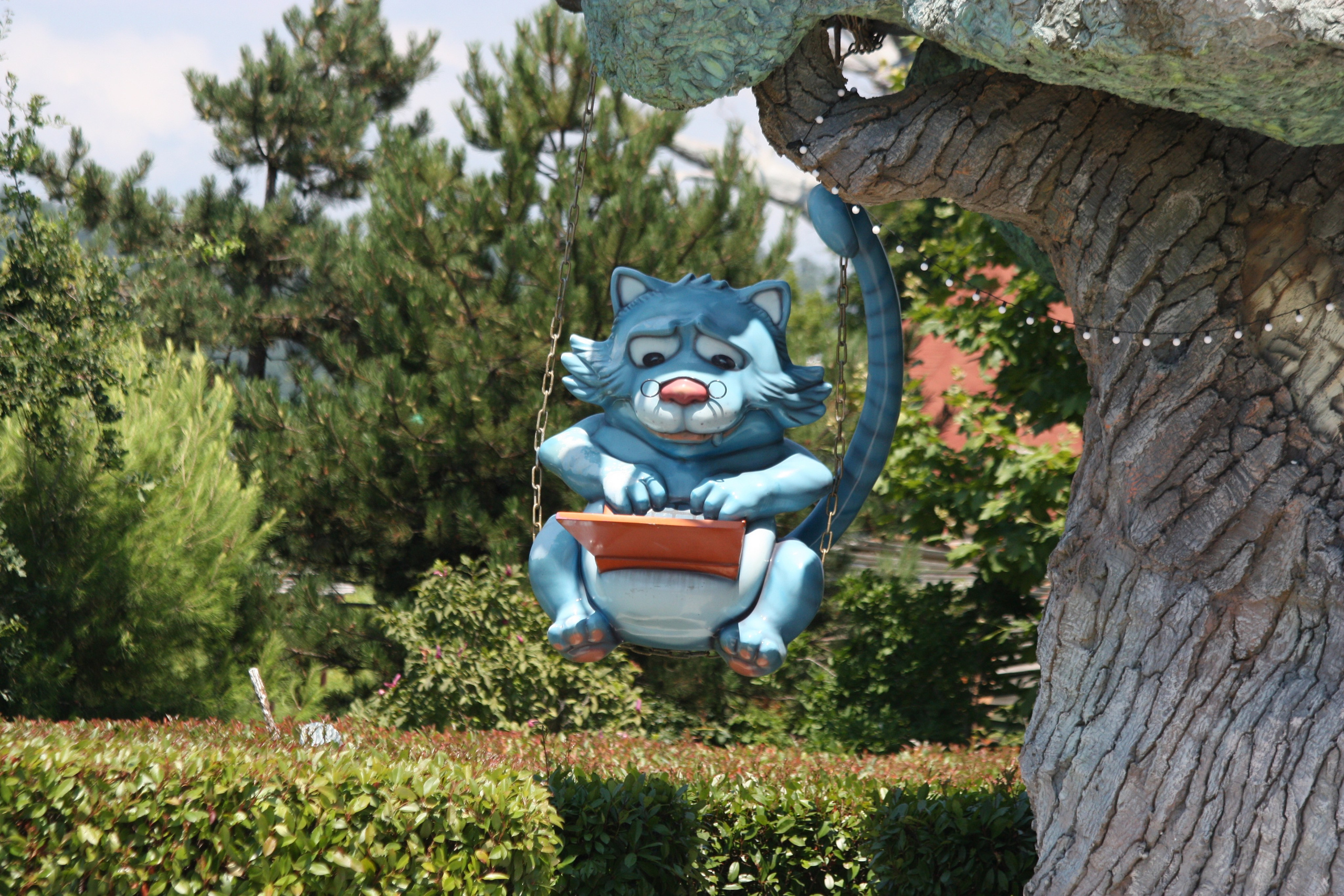 Первые кадры. Сочи — парк. Фотограф Роман Адлер