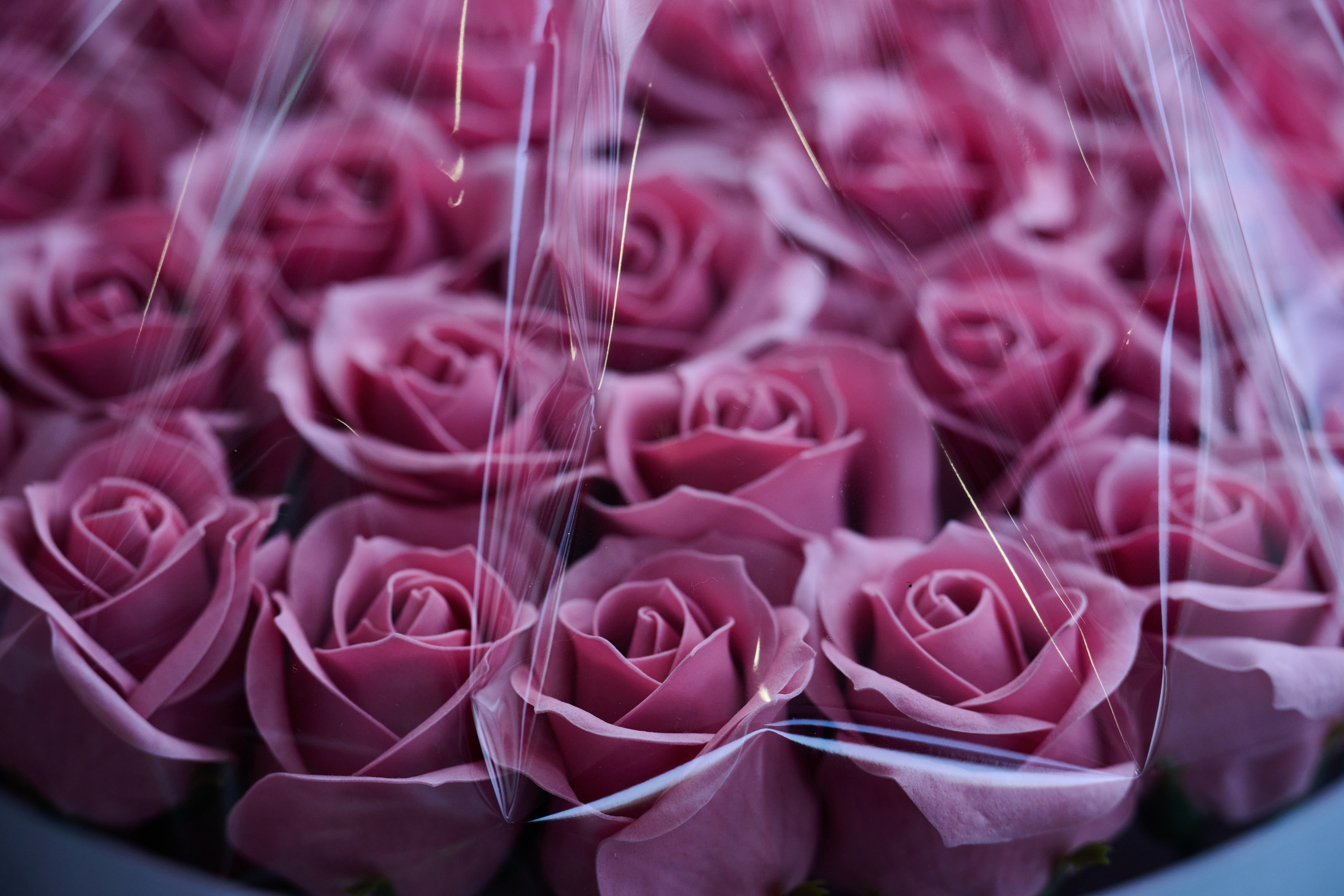 Северодонецк. Январь 2026. Фотограф Роман Адлер