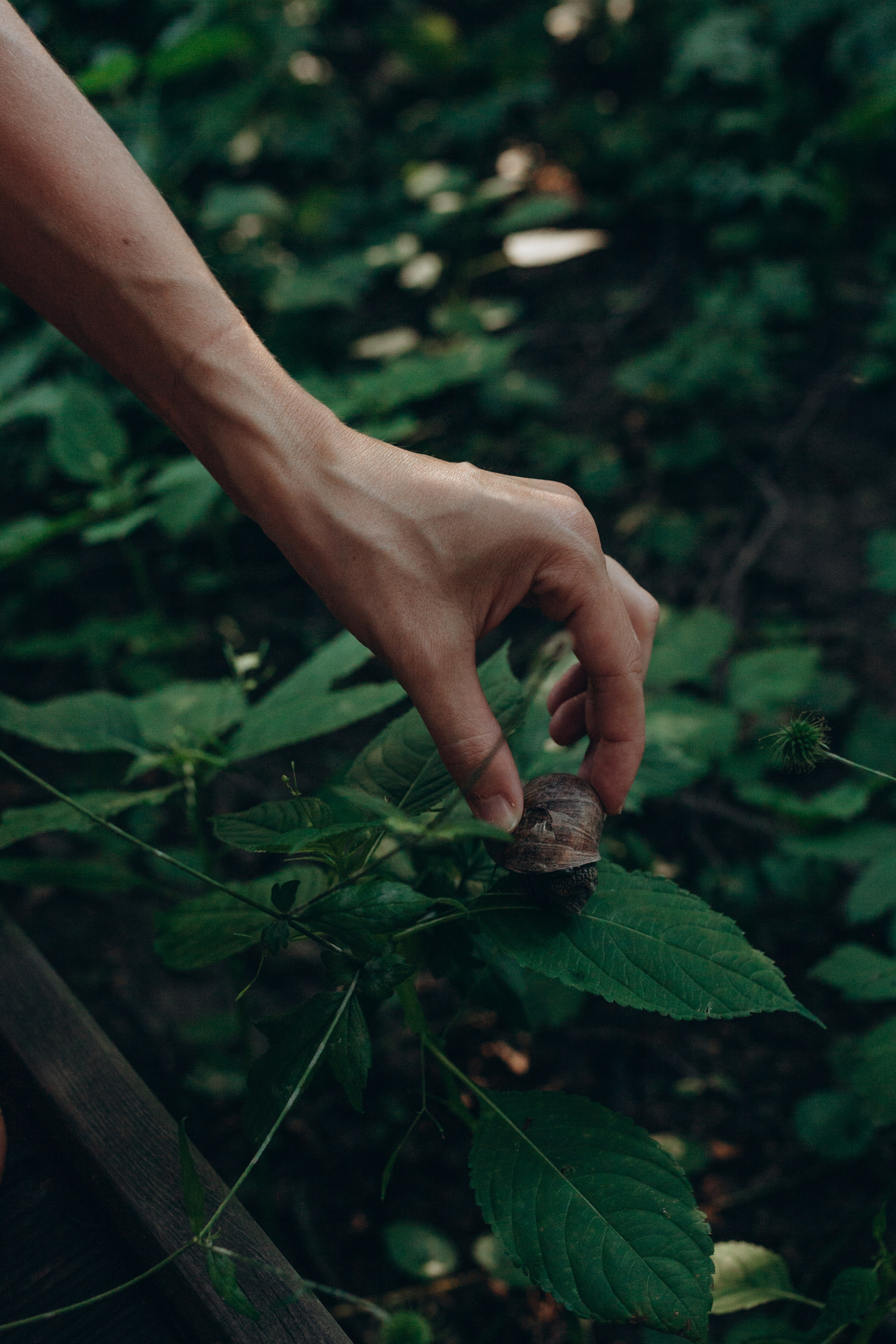 Оля и мальчишки. Семейный фотограф Полина Сарина Москва