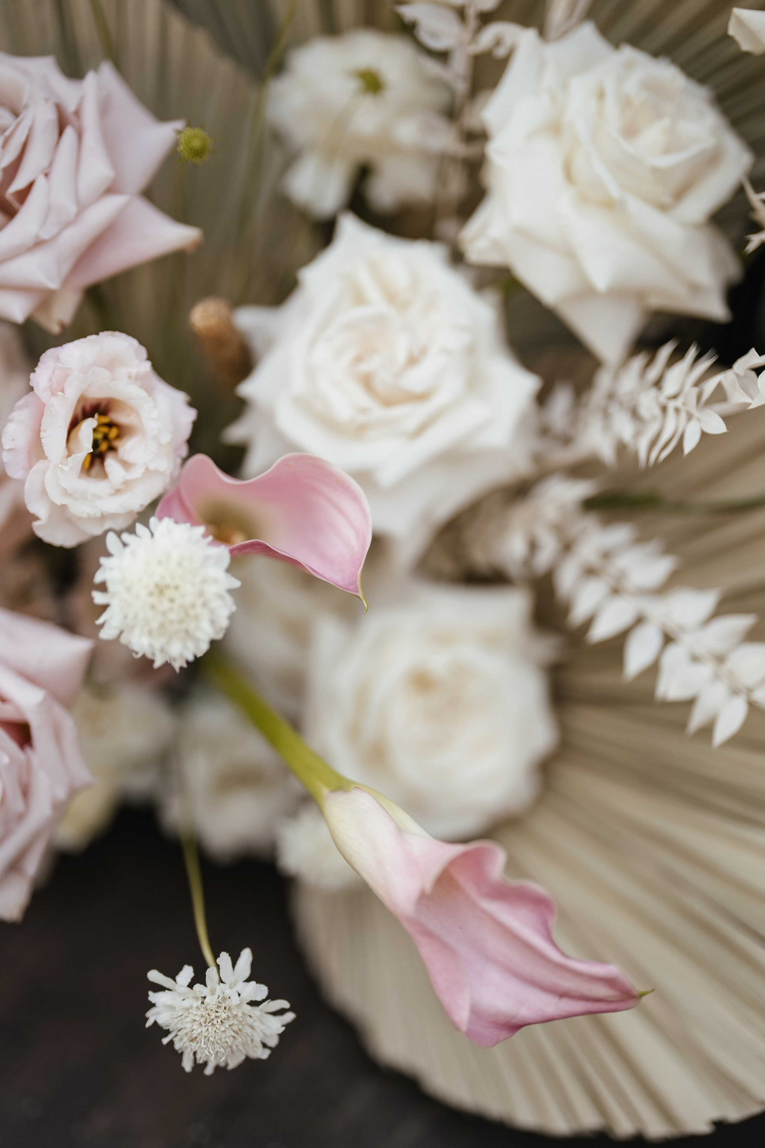 Л+А. Андрей Сухинин репортажный свадебный фотограф Санкт-Петербург