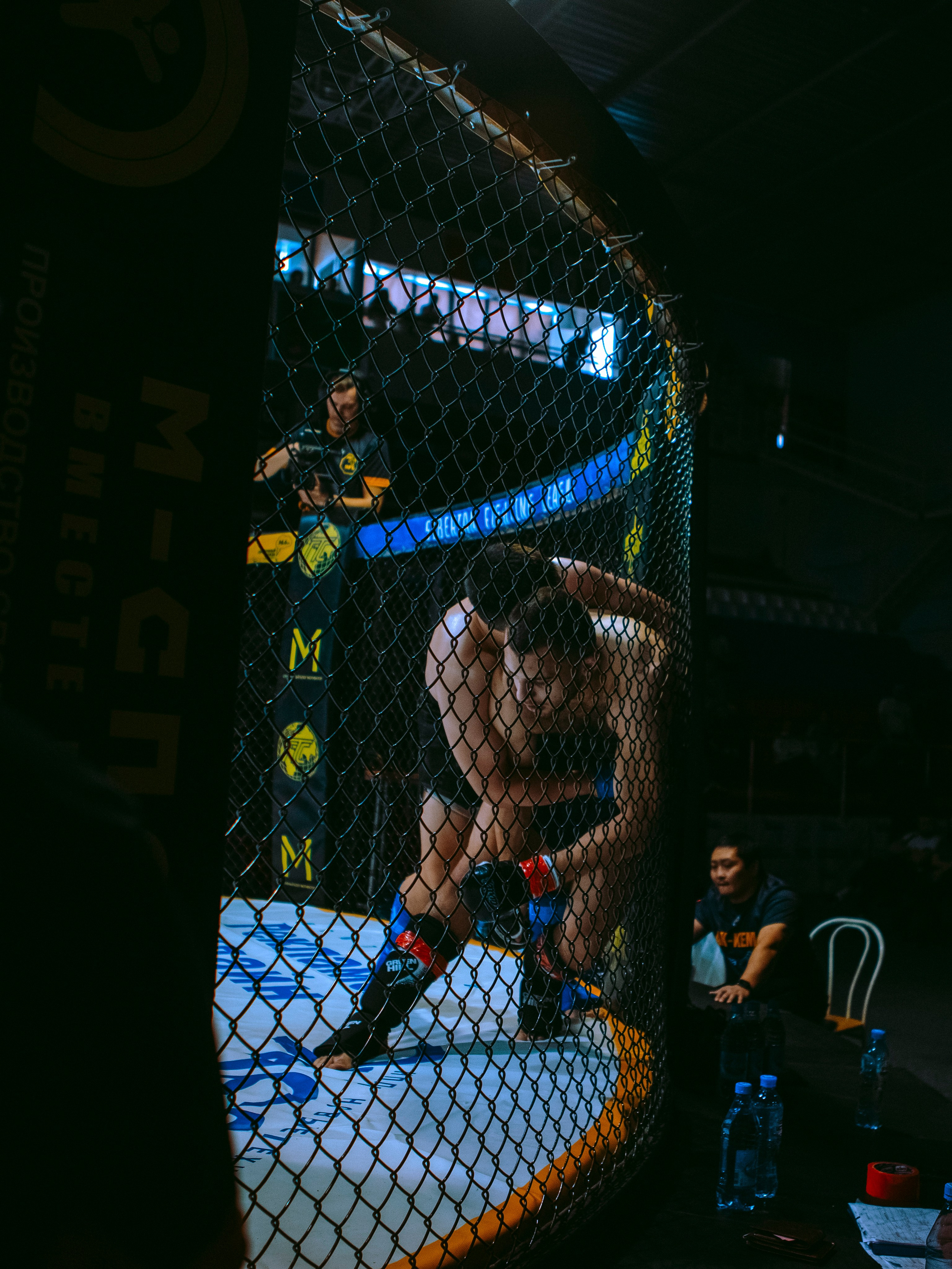 SFL 17 | Siberian Fighting League. Портретный фотограф в Москве Дарья Цезария