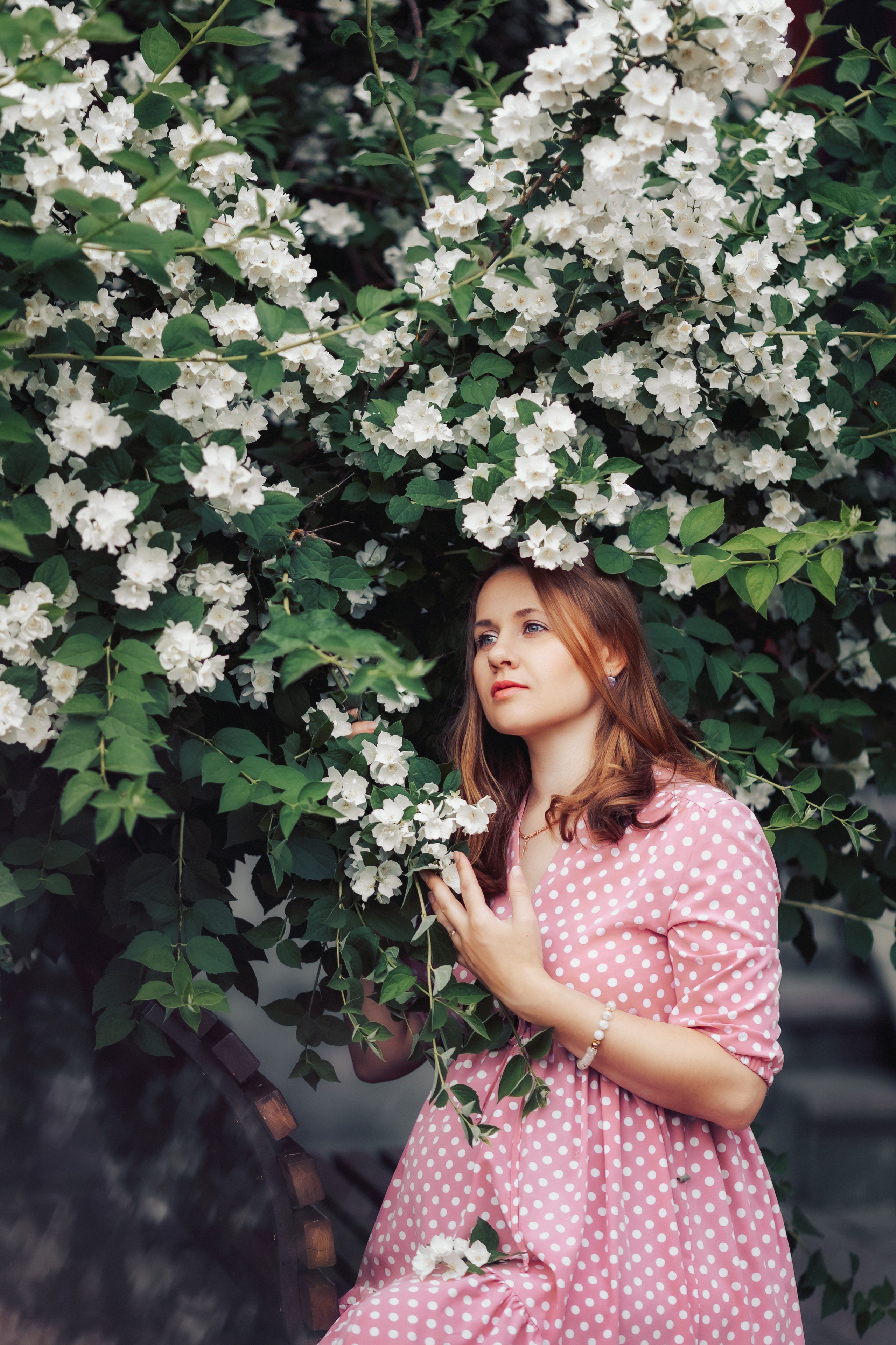 Жасмин (чубушник). Семейный и детский фотограф |Брянск| Анастасия Перепелкина