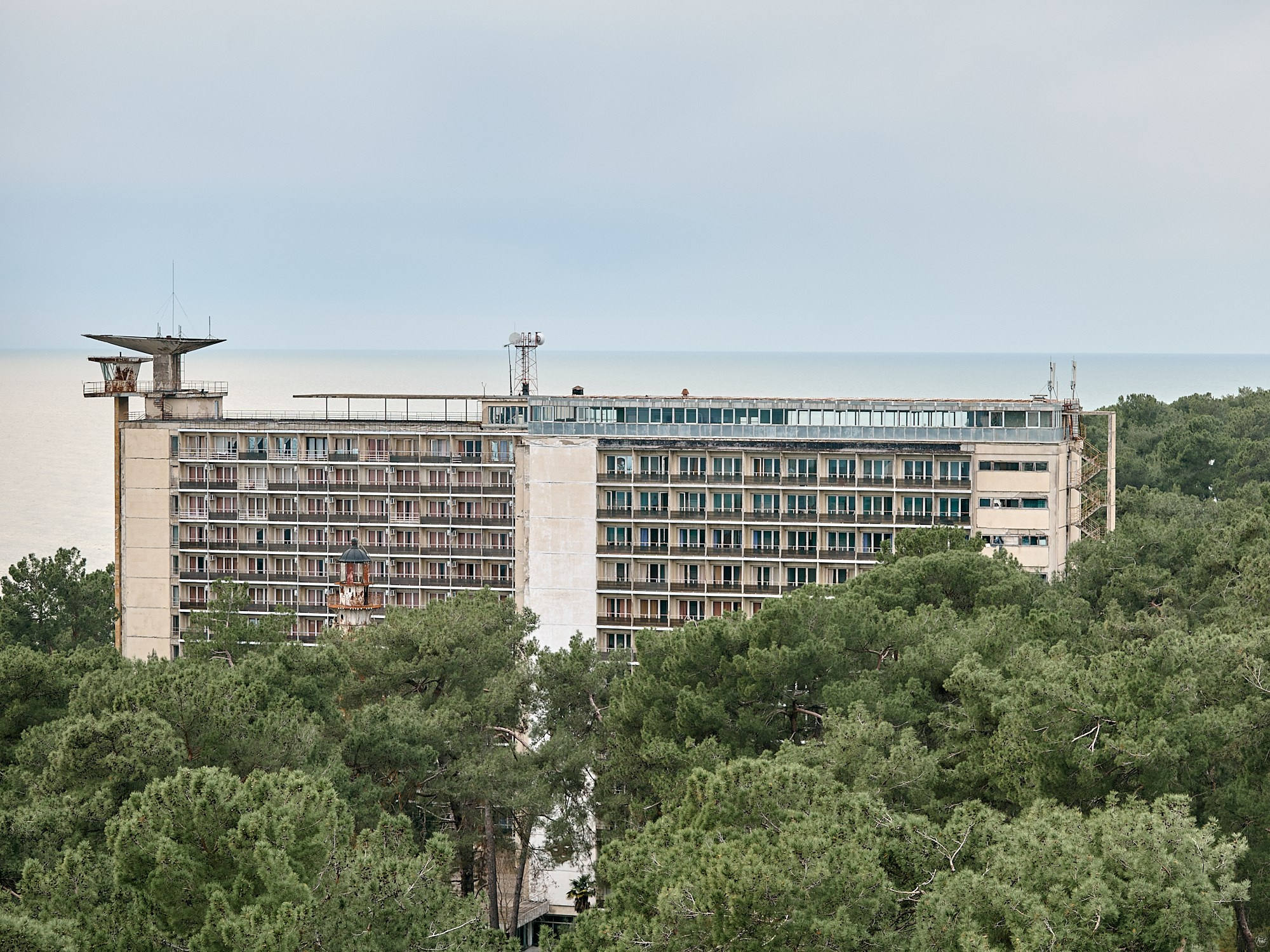 Пицунда, Абхазия. Декабрь 2024. Фотографии отовсюду и обо всем