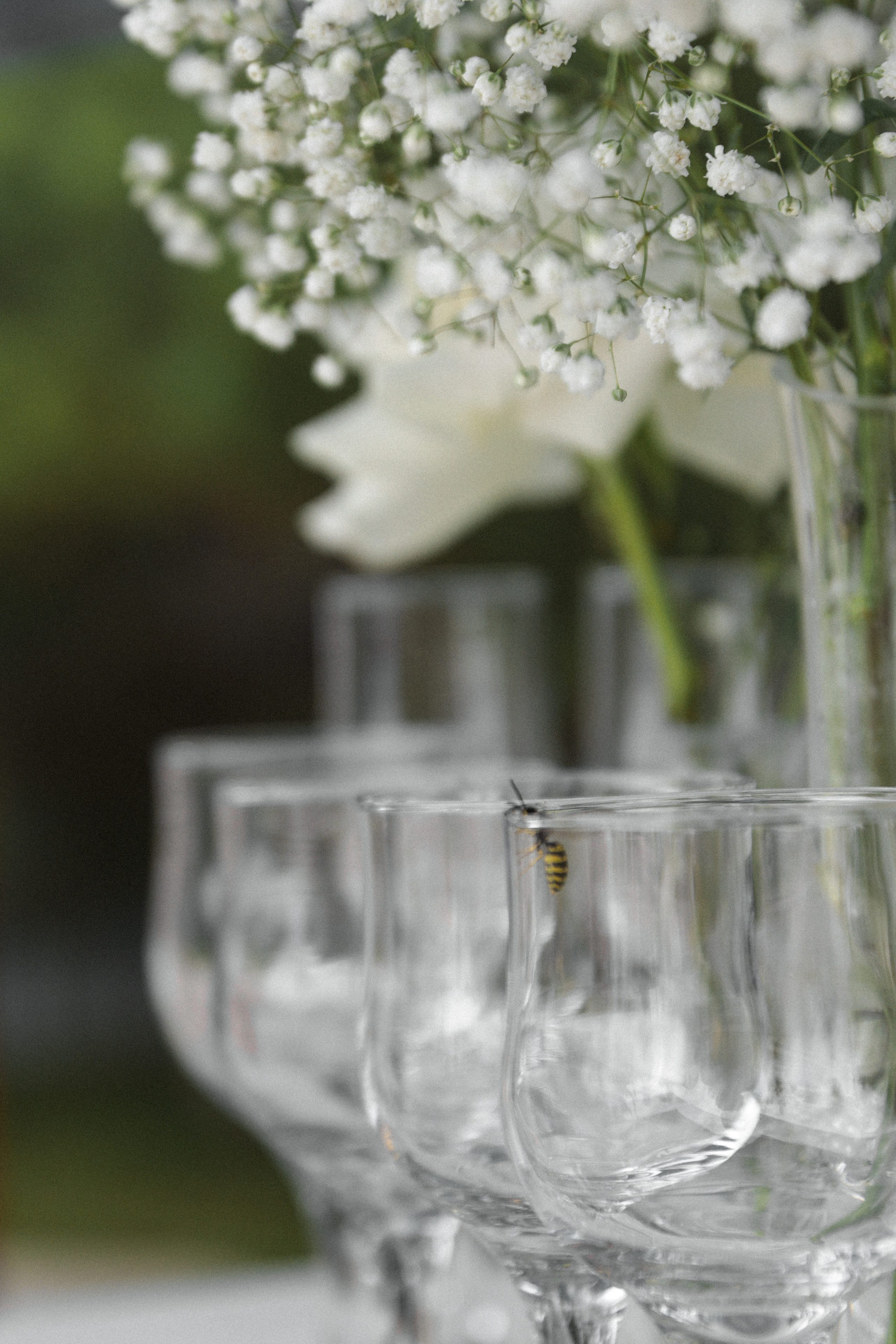 Свадебный фотограф в Астане Асанали Балтахан