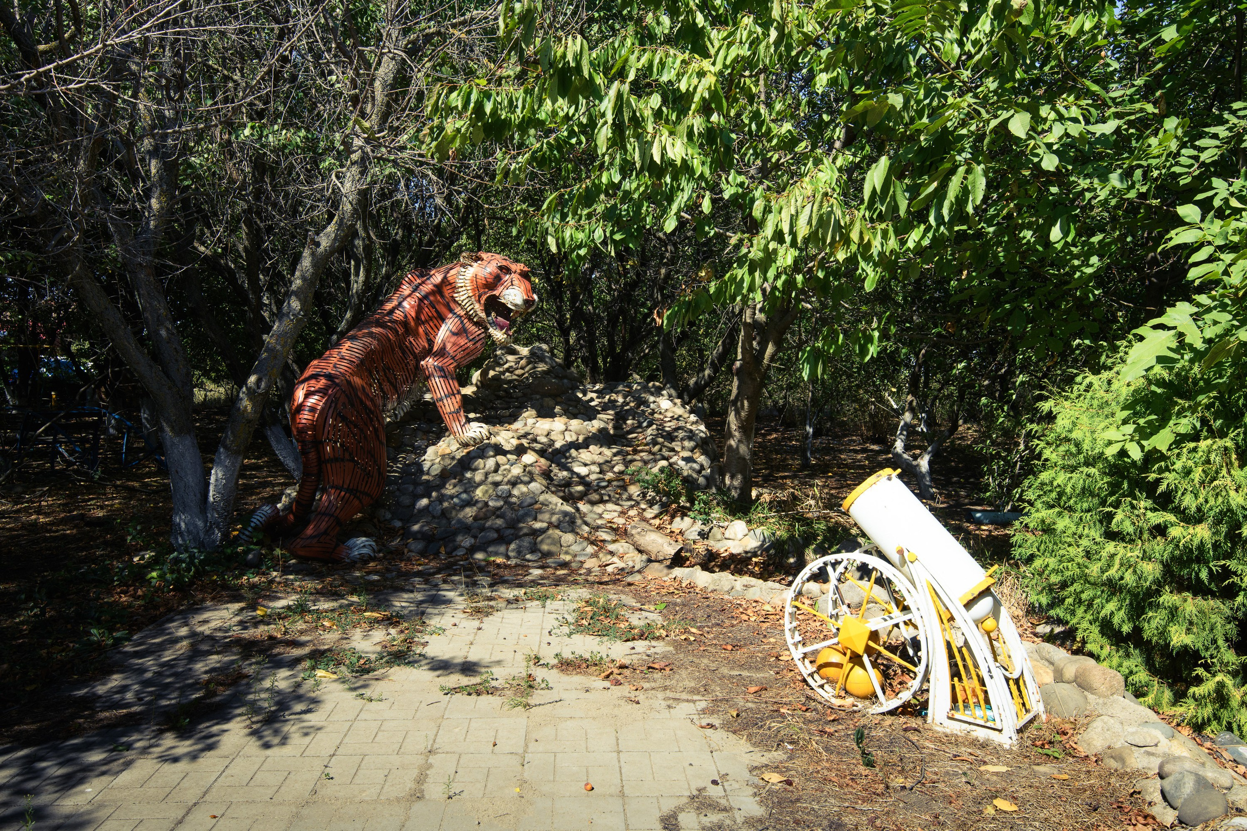 Тихорецк. Профессиональная фотосъемка. Ростов-на-Дону