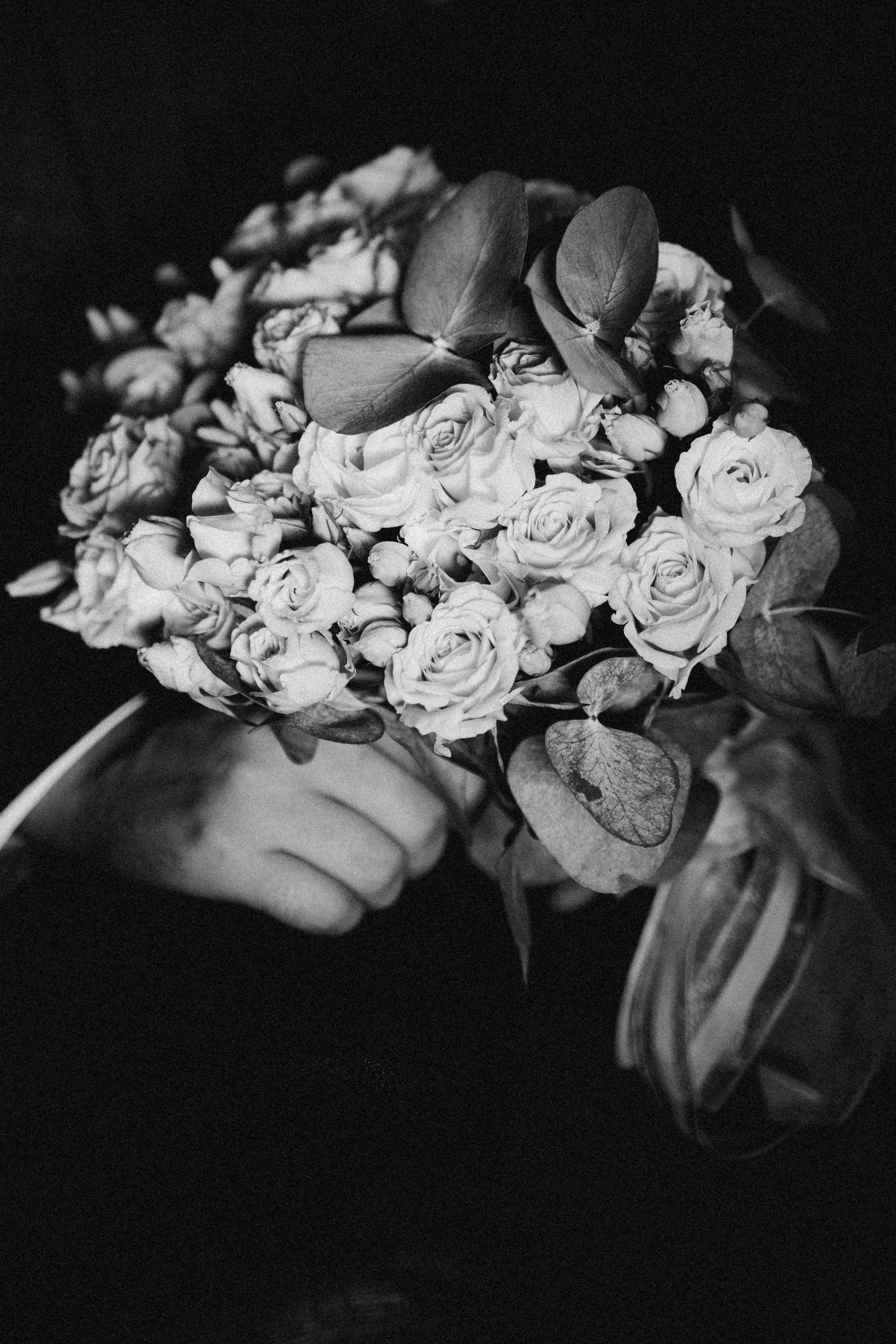 Ксюша и Саша. Фотораф — анималист Мария Шистка