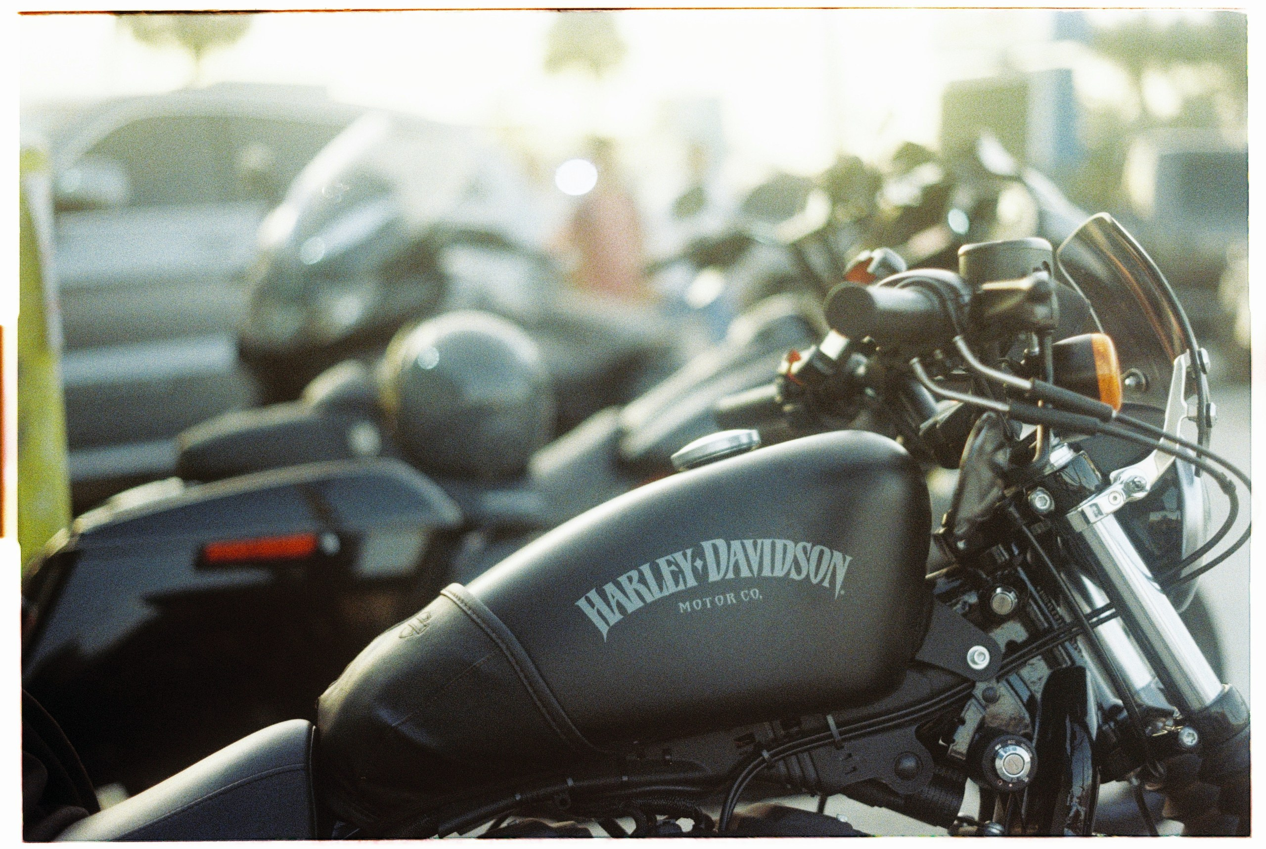 Florida. Егор Фотобрат — Портретный фотограф теперь в Ташкенте