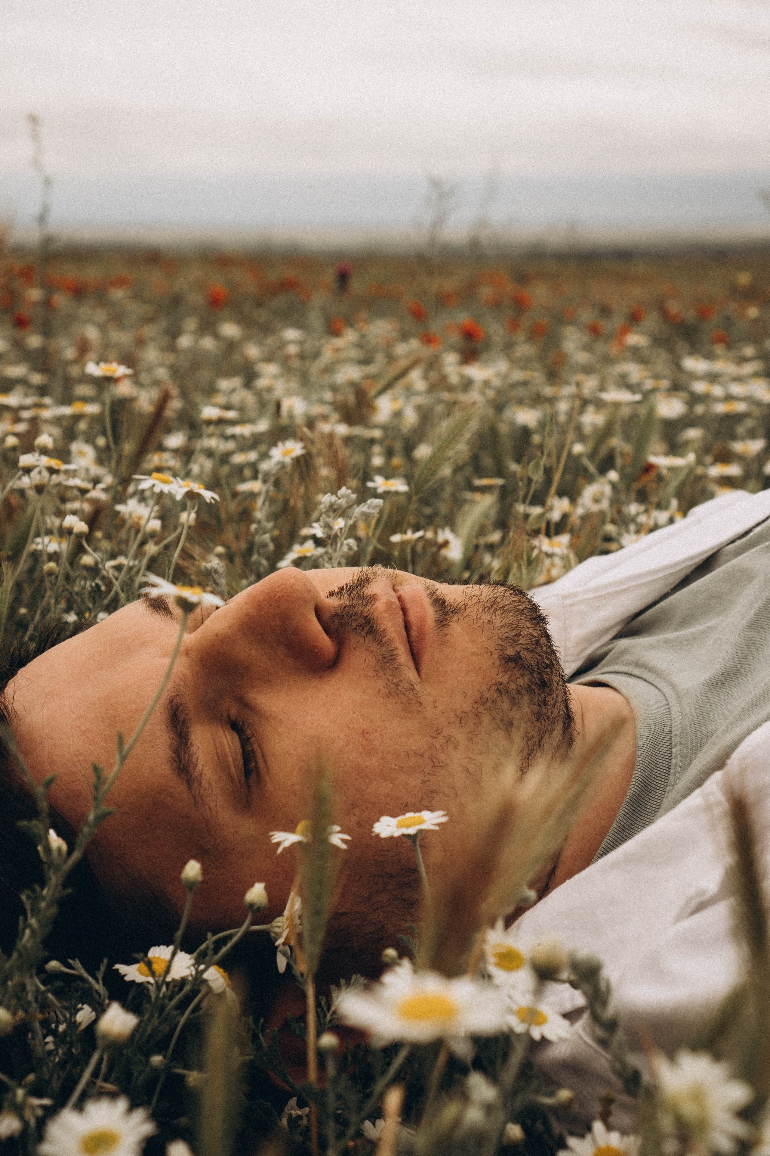 Маки. Профессиональный фотограф, Санкт-Петербург — Виктория Богомолова