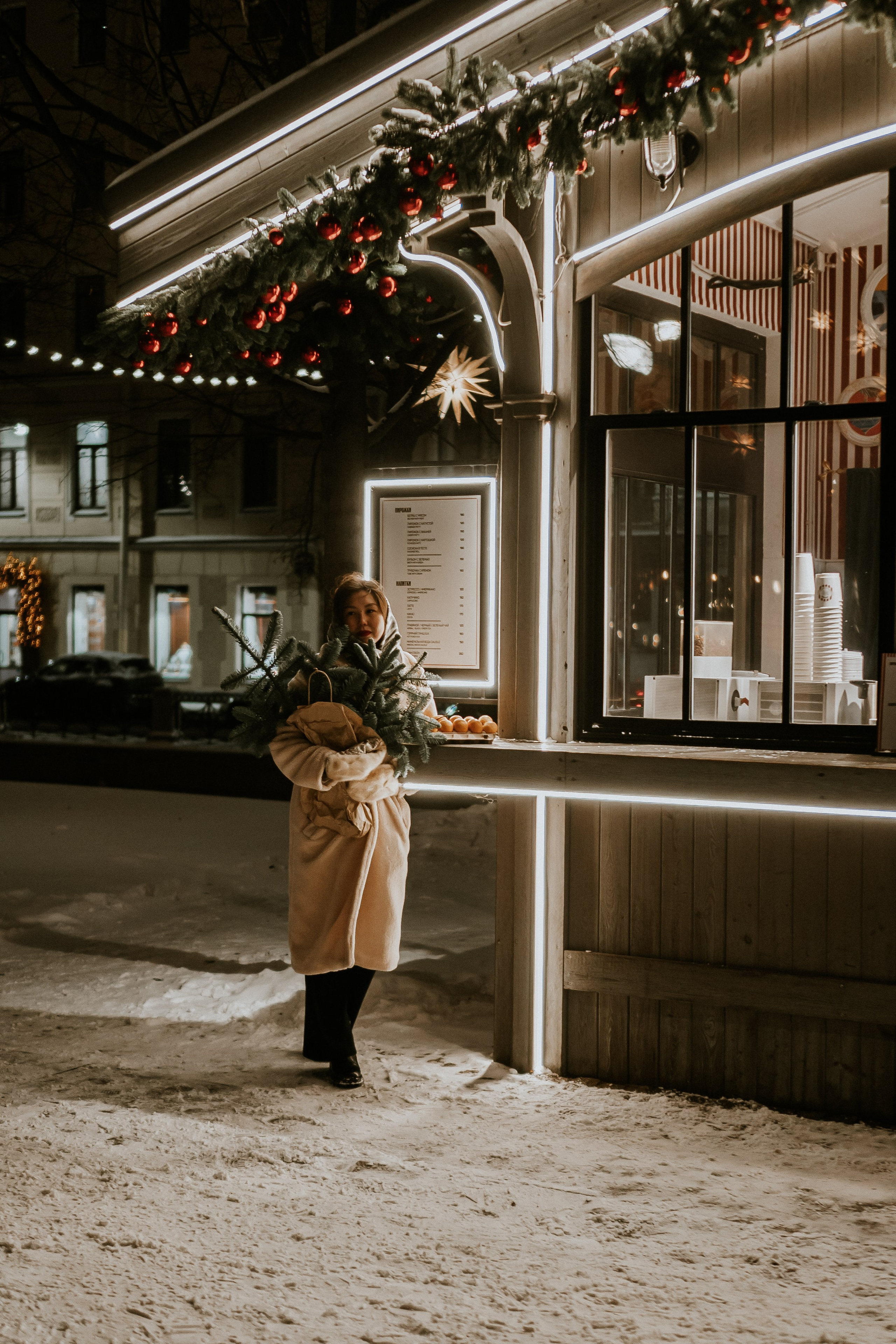 Зимняя сказка в Новой Голандии. Профессиональный фотограф, Санкт-Петербург — Виктория Богомолова