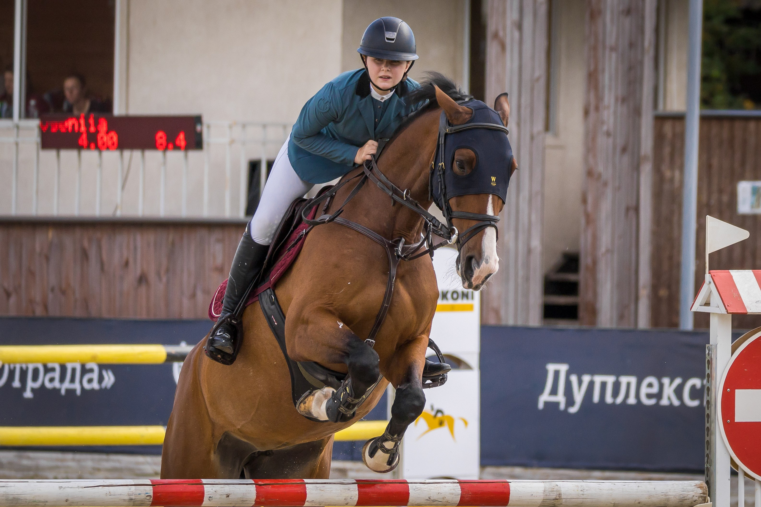 Конный спорт. Photomantis