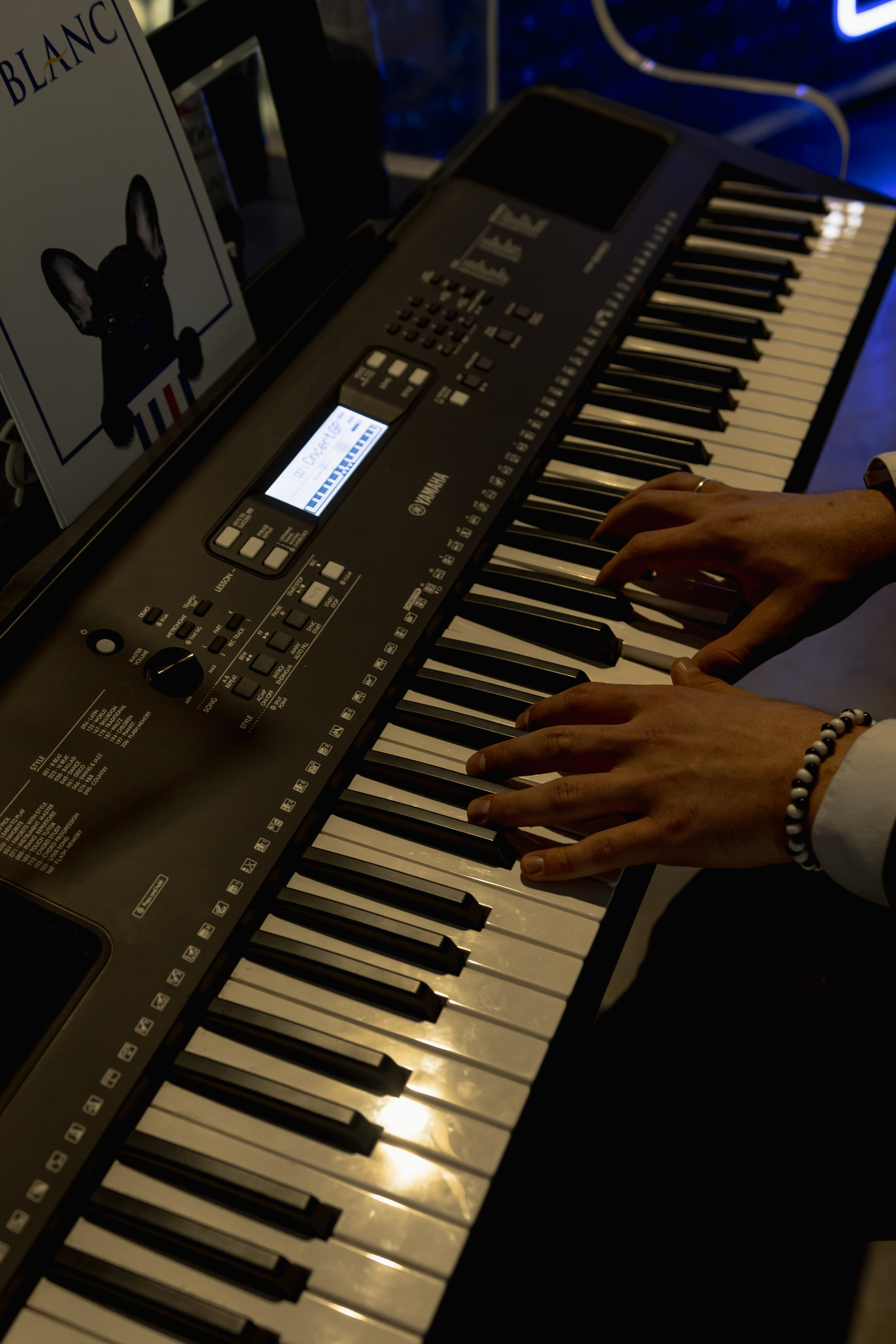 EFW. Фотографирую пары и индивидуальные съемки в Алматы Шунько Ирина