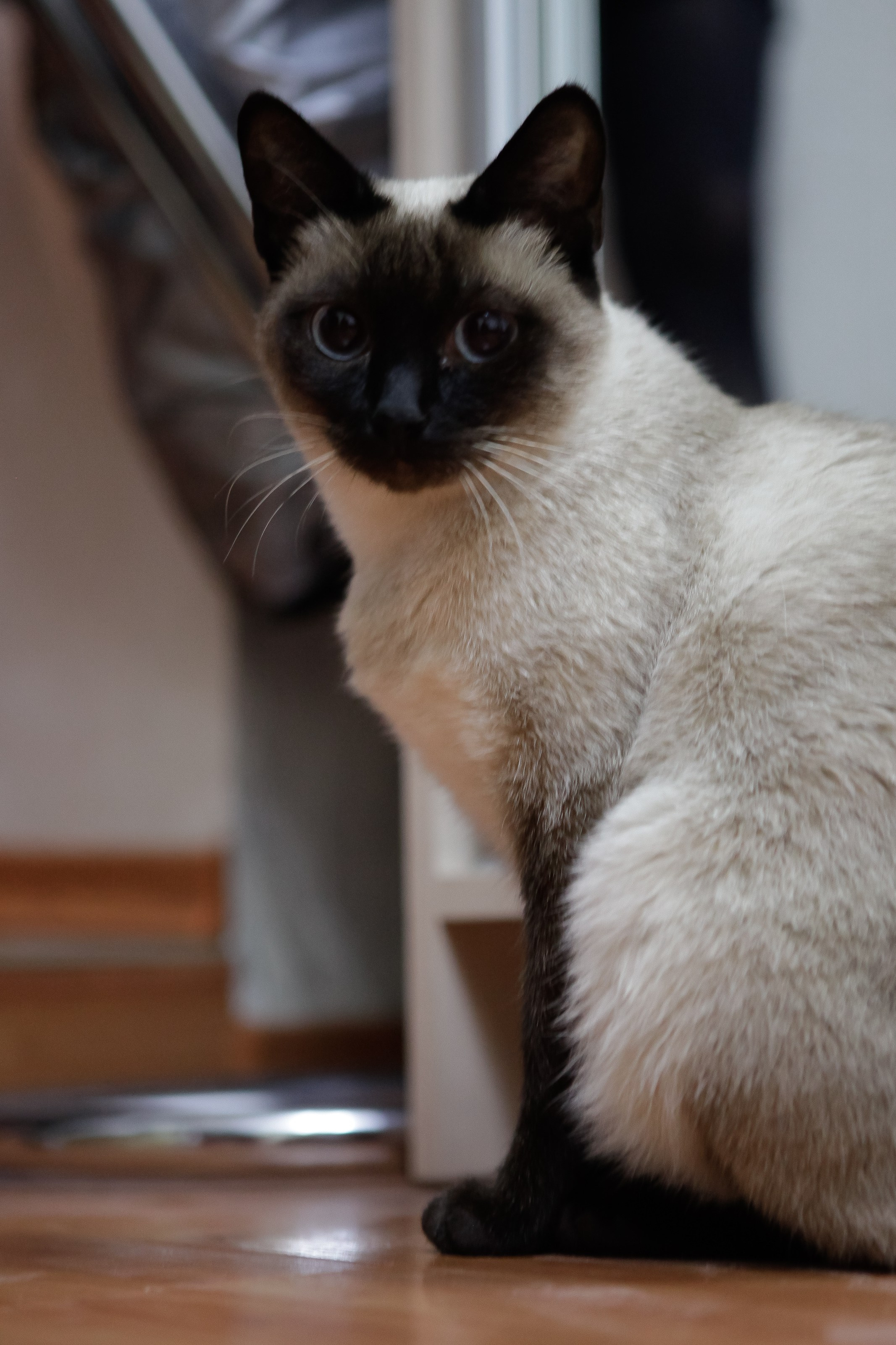 Утро/Morning. Максим Матвийченко и Виктория Басова профессионалы своего дела