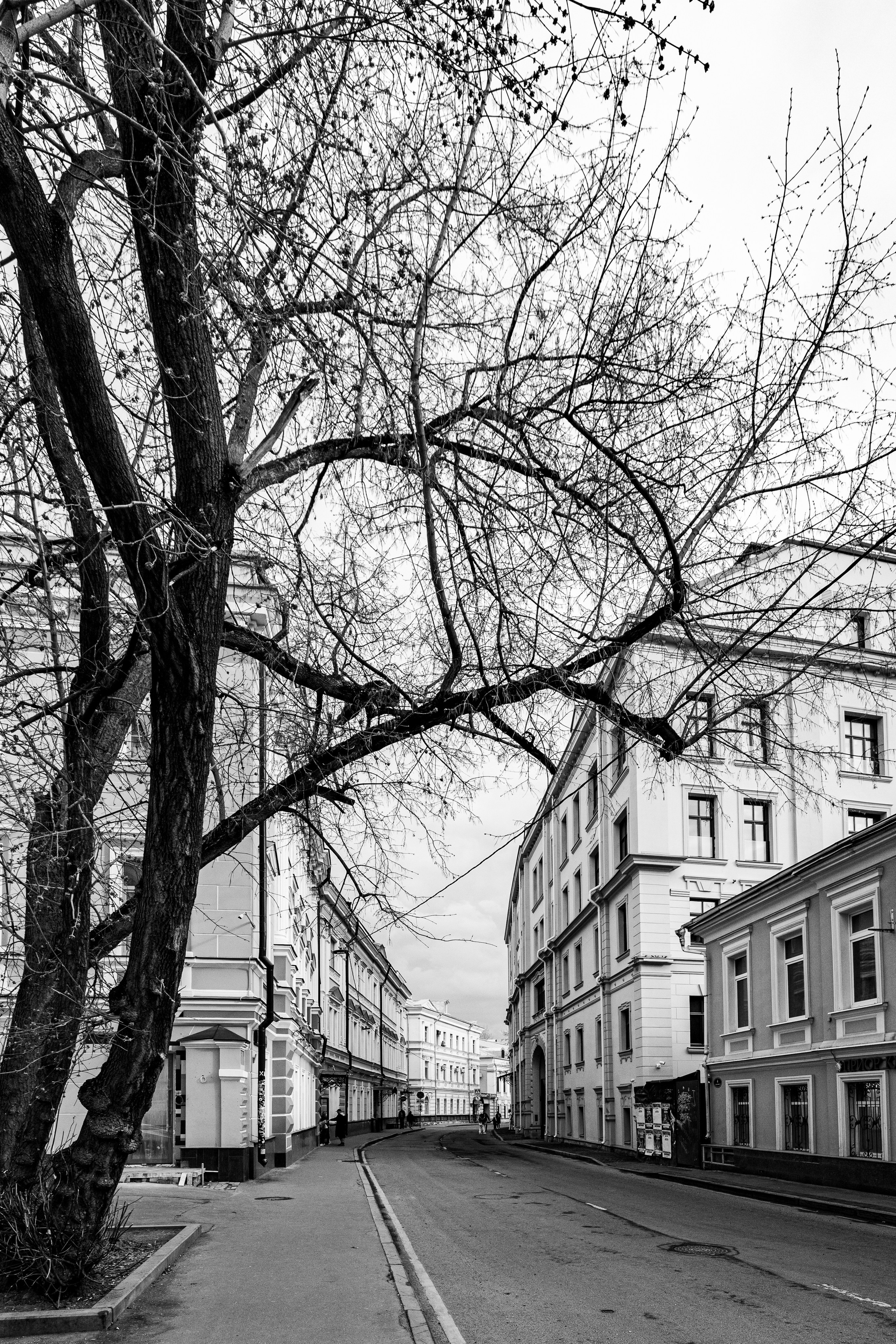 Прогулка по весенней  Москве. Фотографирую жизнь! Московский фотограф волонтер