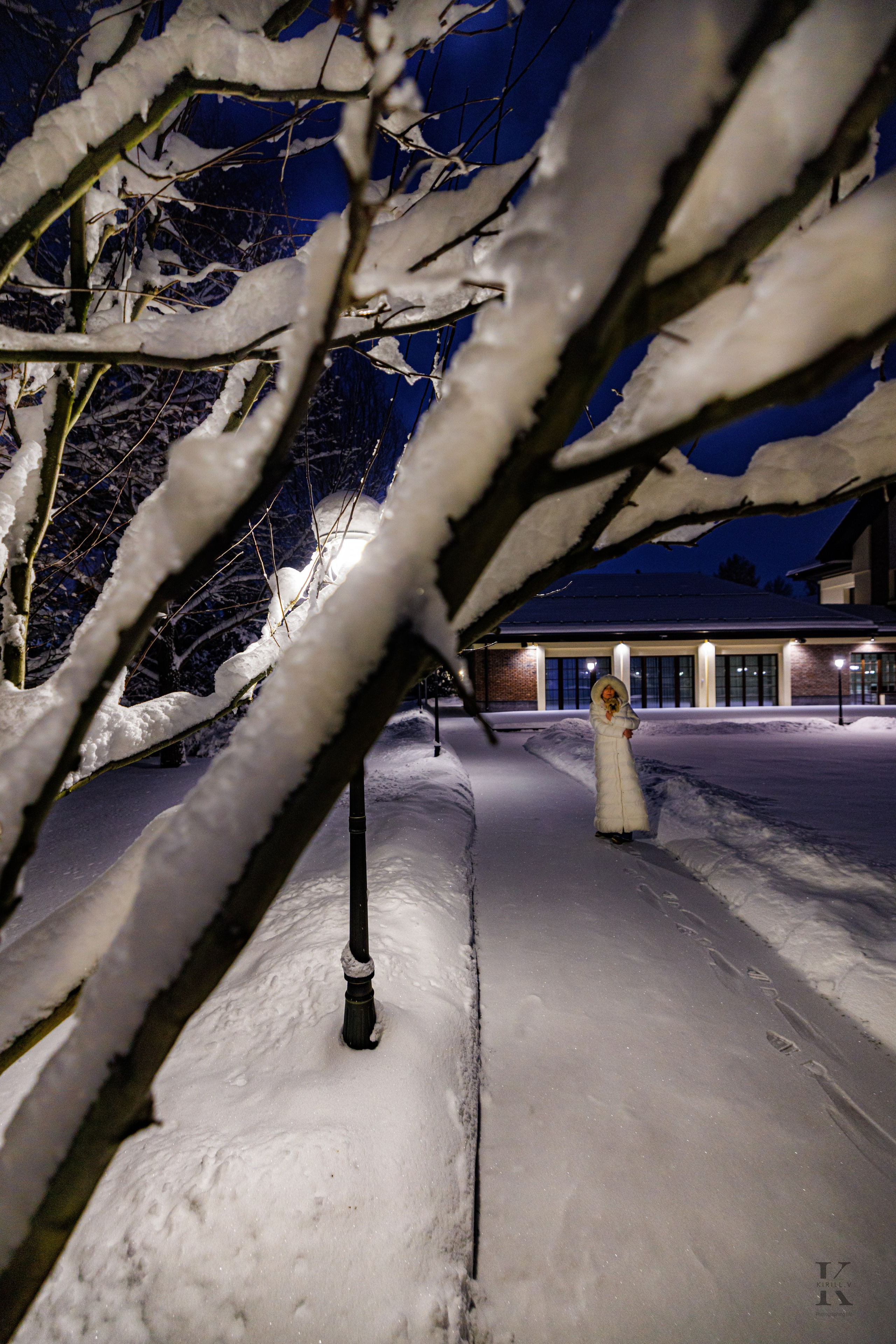 Природа 31 Декабря 2025 года. Клены. Фотографирую жизнь! Московский фотограф волонтер