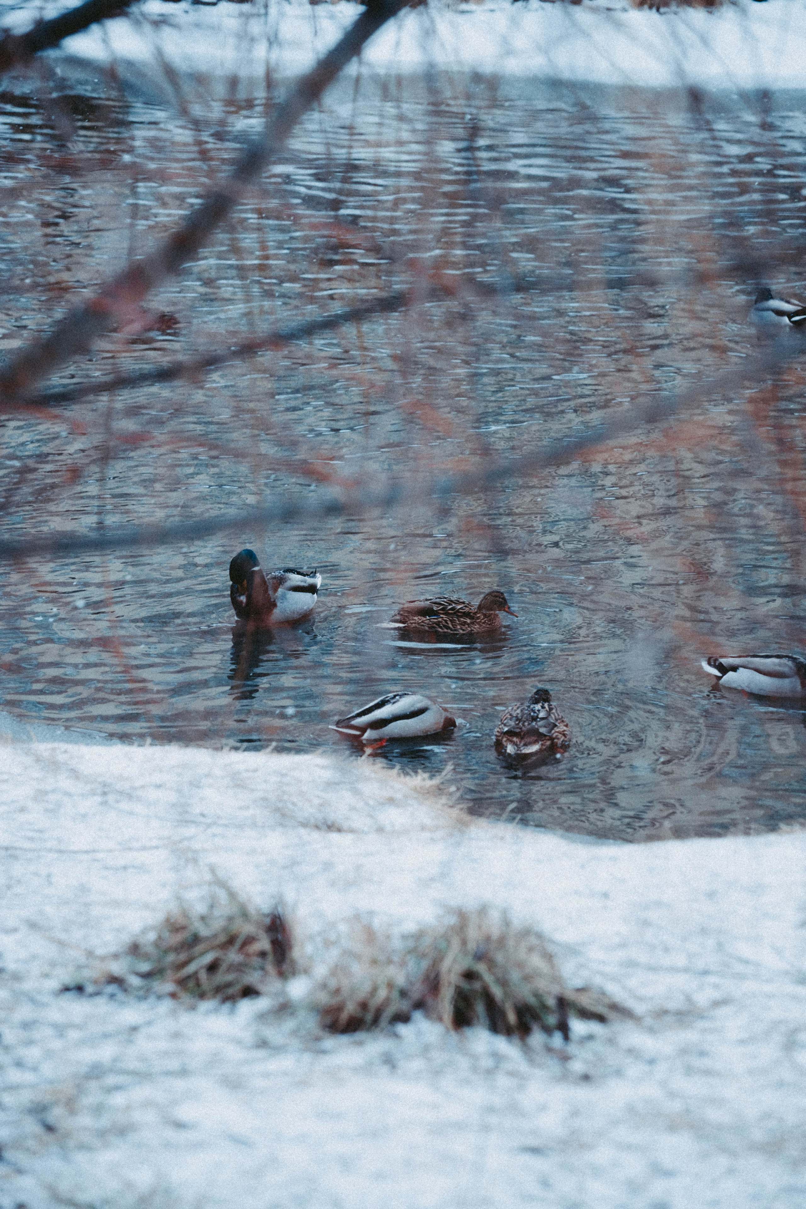 Марафон у дома_Мытищи. Александра Мельниченко/ Бегающий фотограф