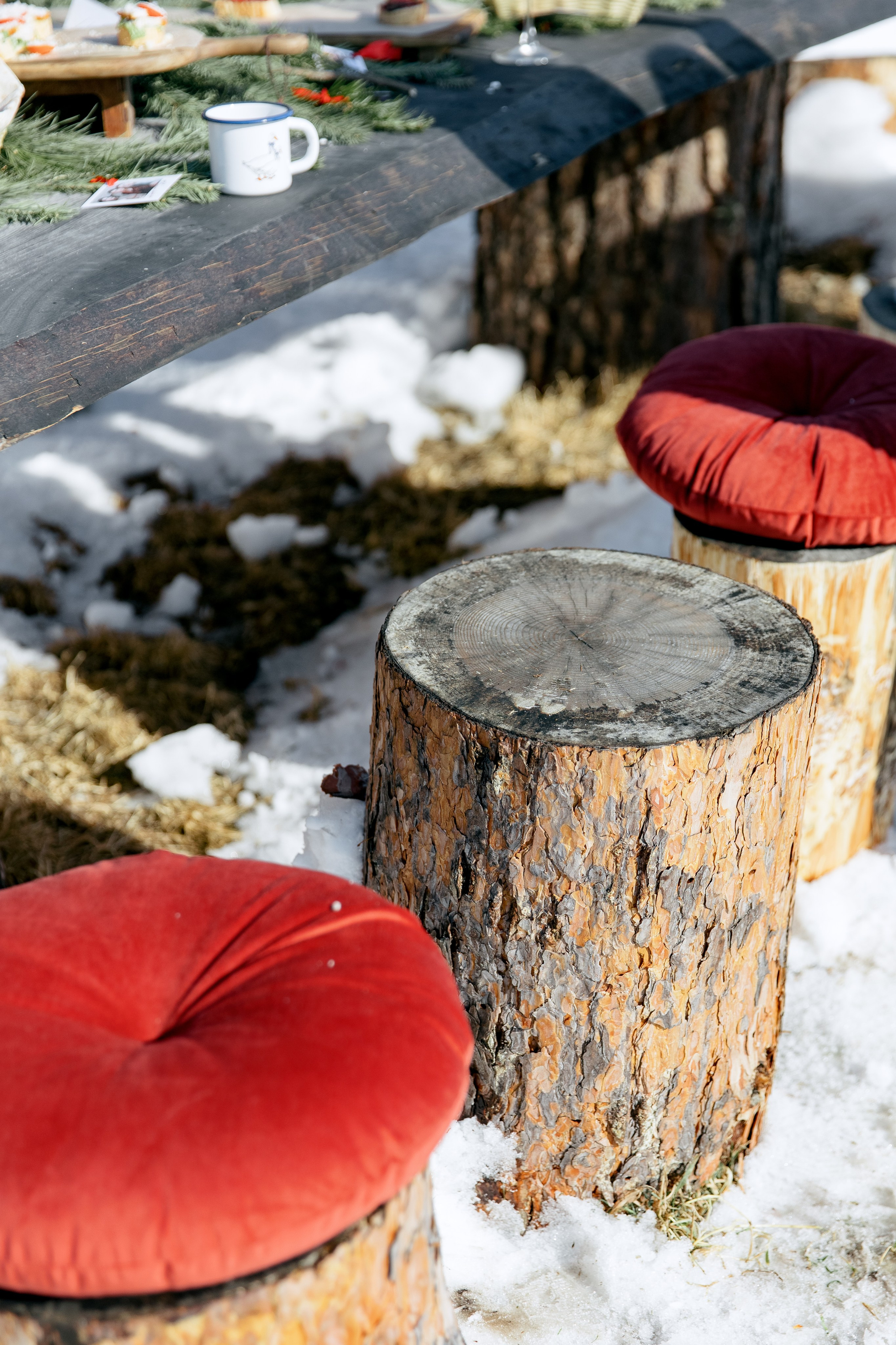 ДЕНЬ ДОЖДЕНИЯ ЕКАТЕРИНЫ. Фотограф в Красноярске